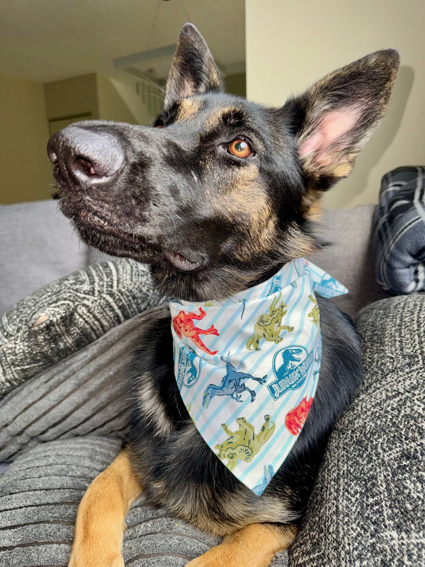 Maya’s Dino Adventure