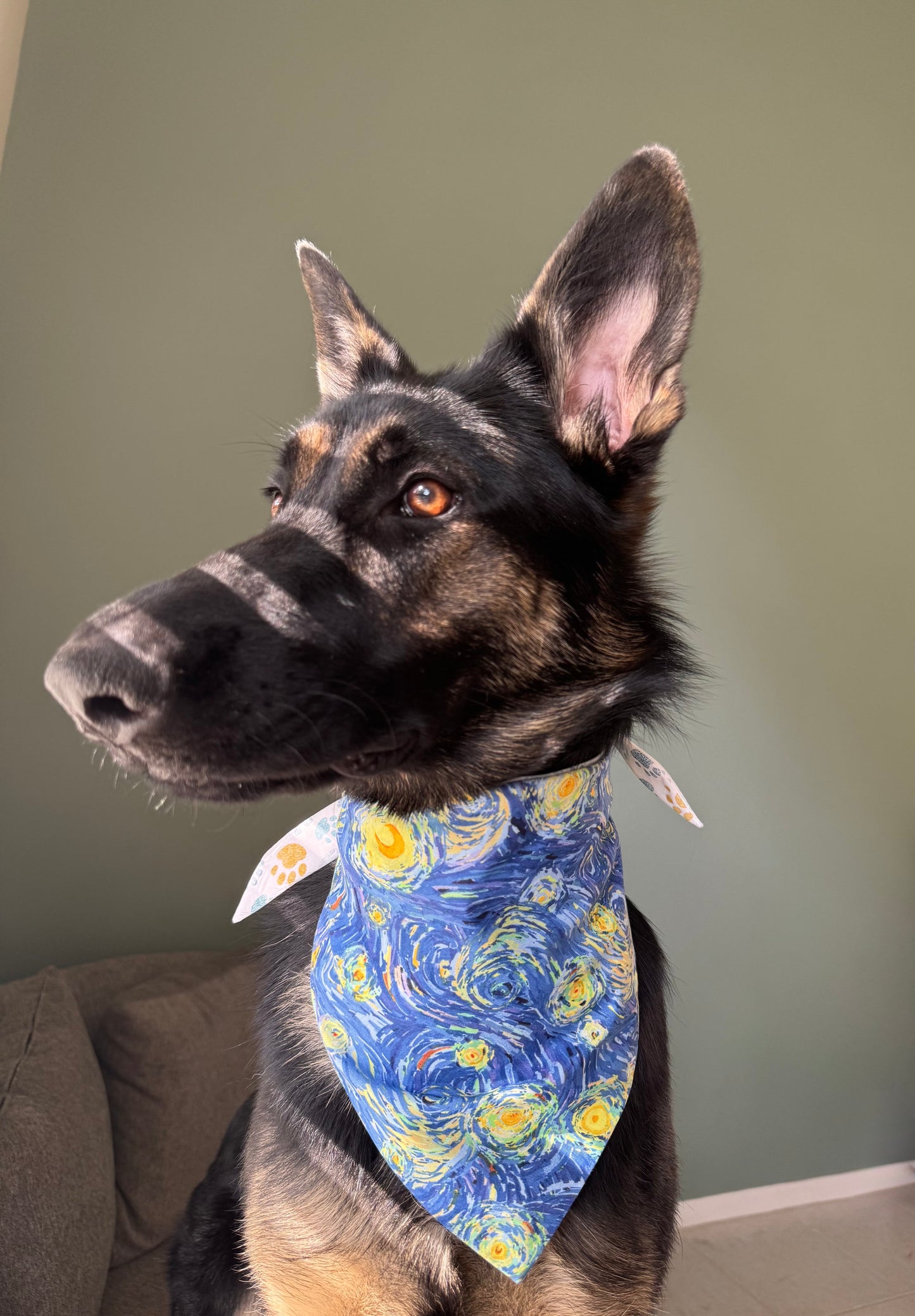 Maya paw Gogh
