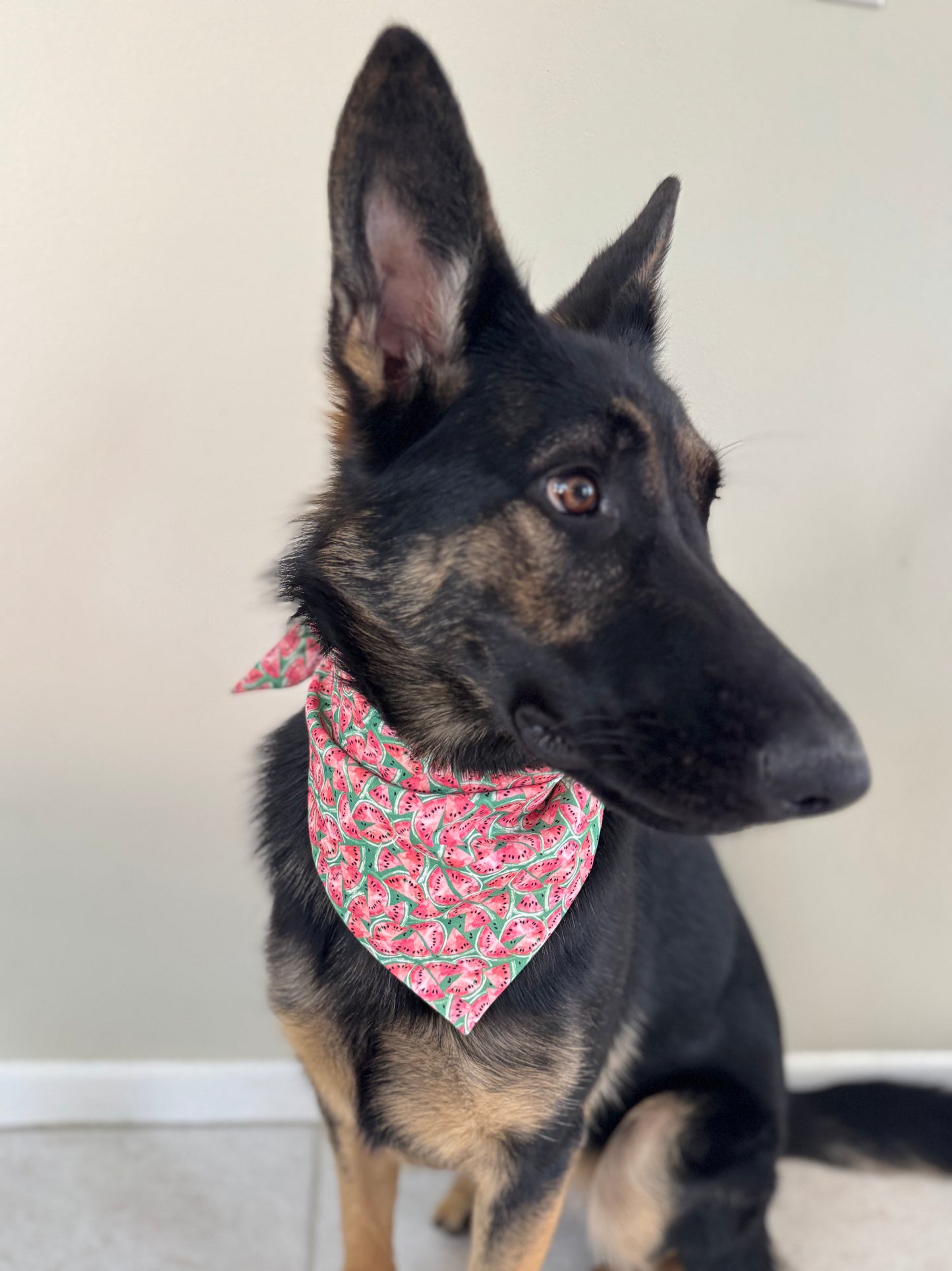 Maya Melon