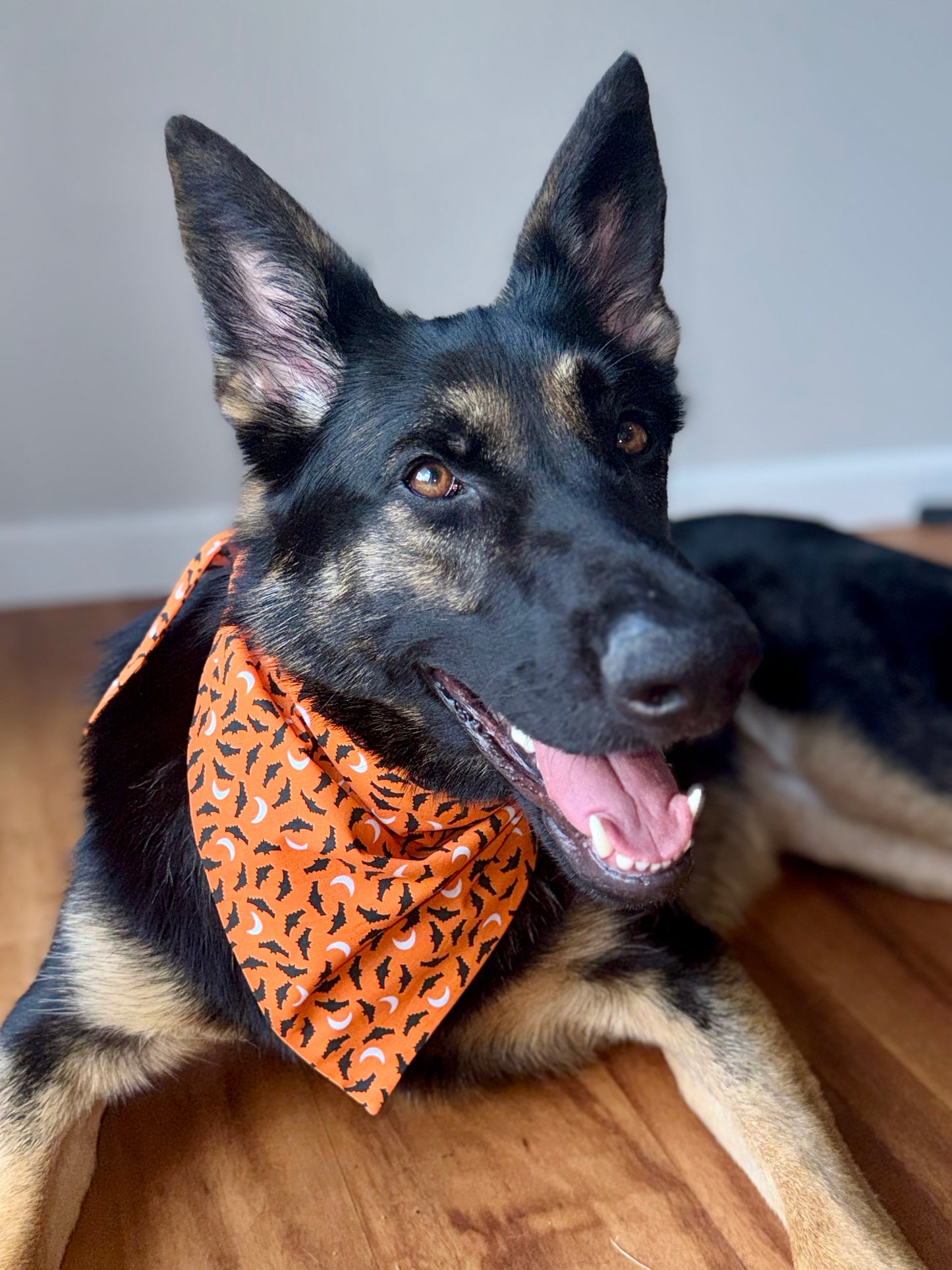 Maya Boo