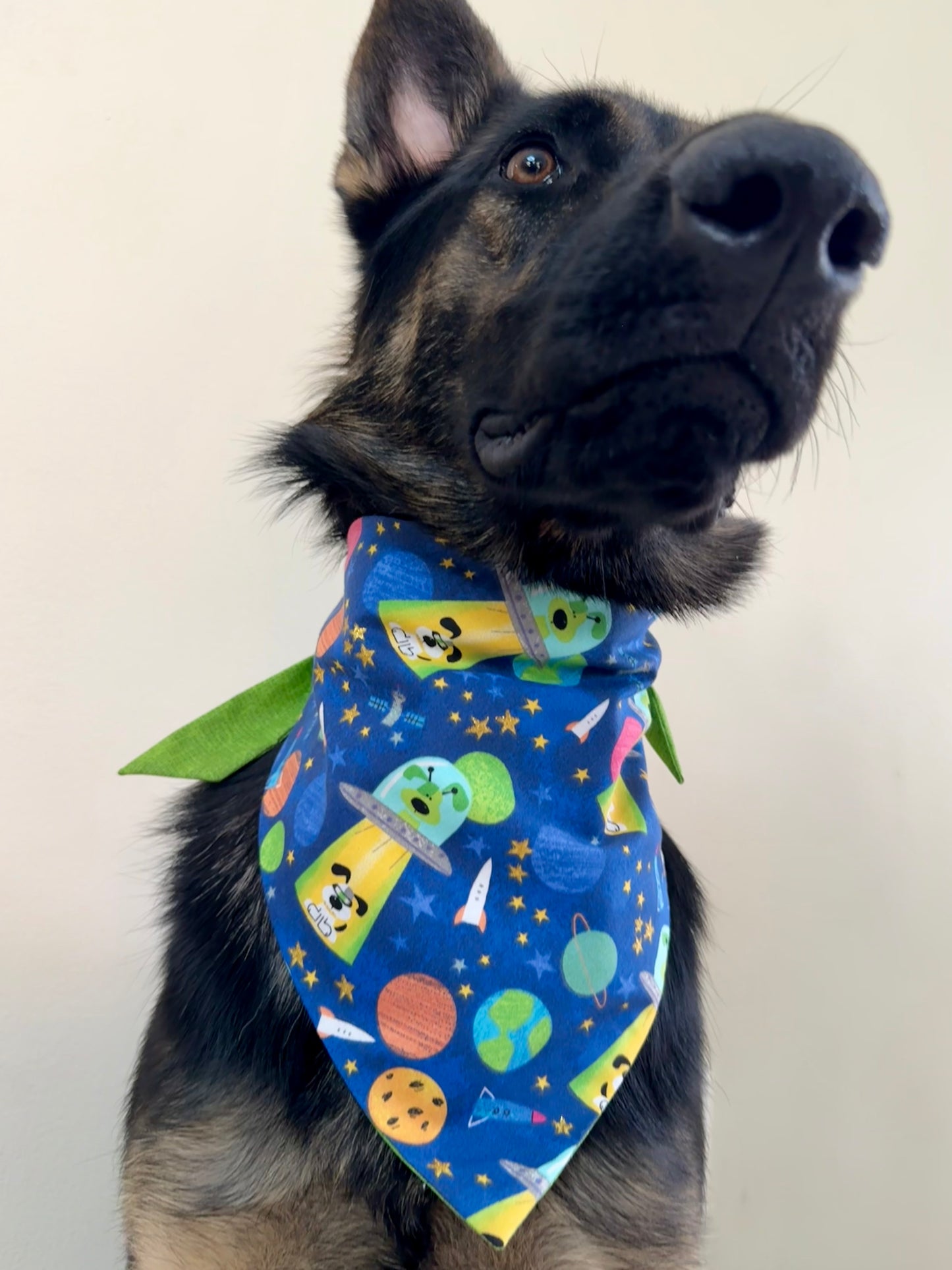 Maya Goes to the Moon