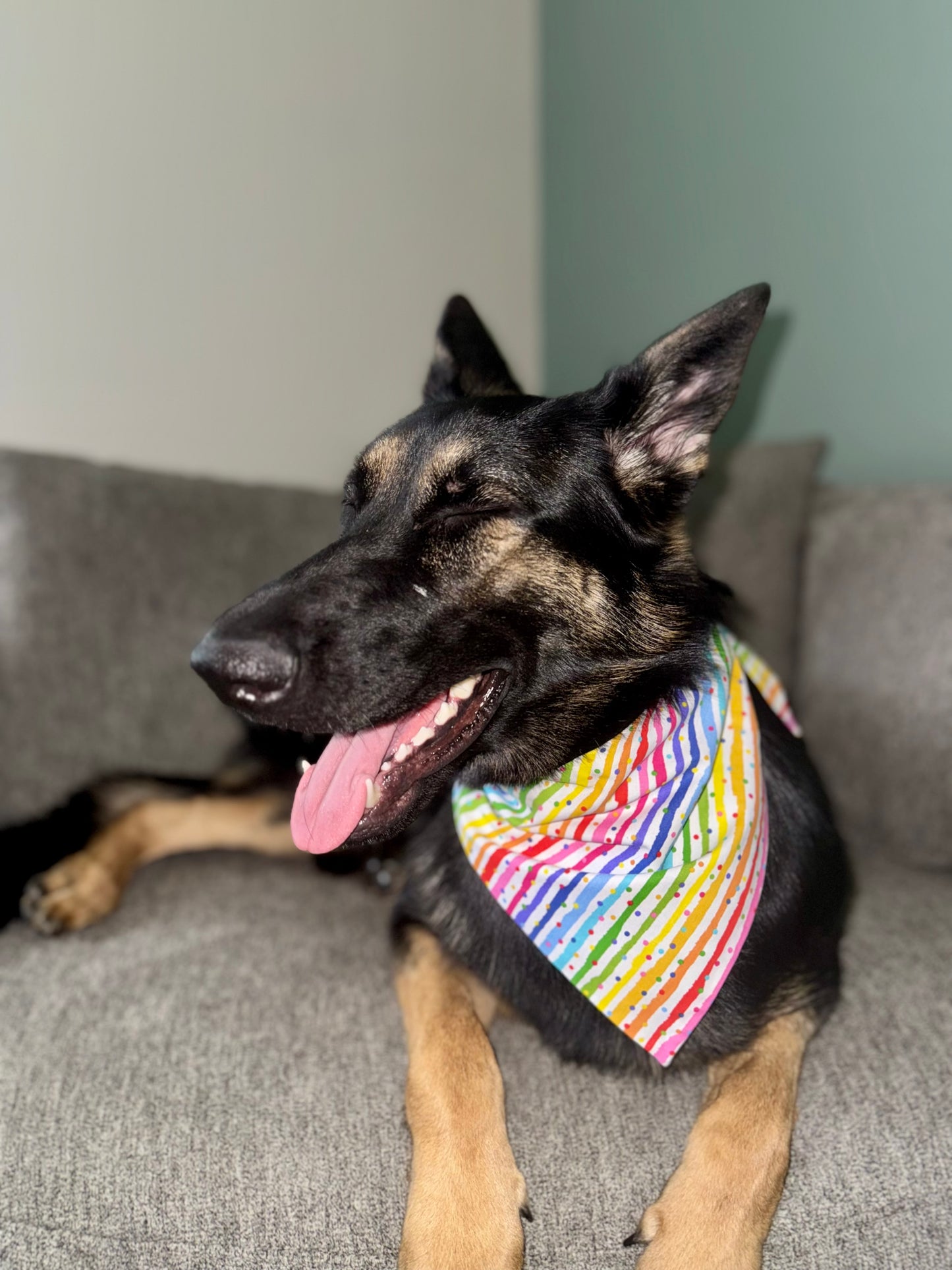 Party Time for Maya!