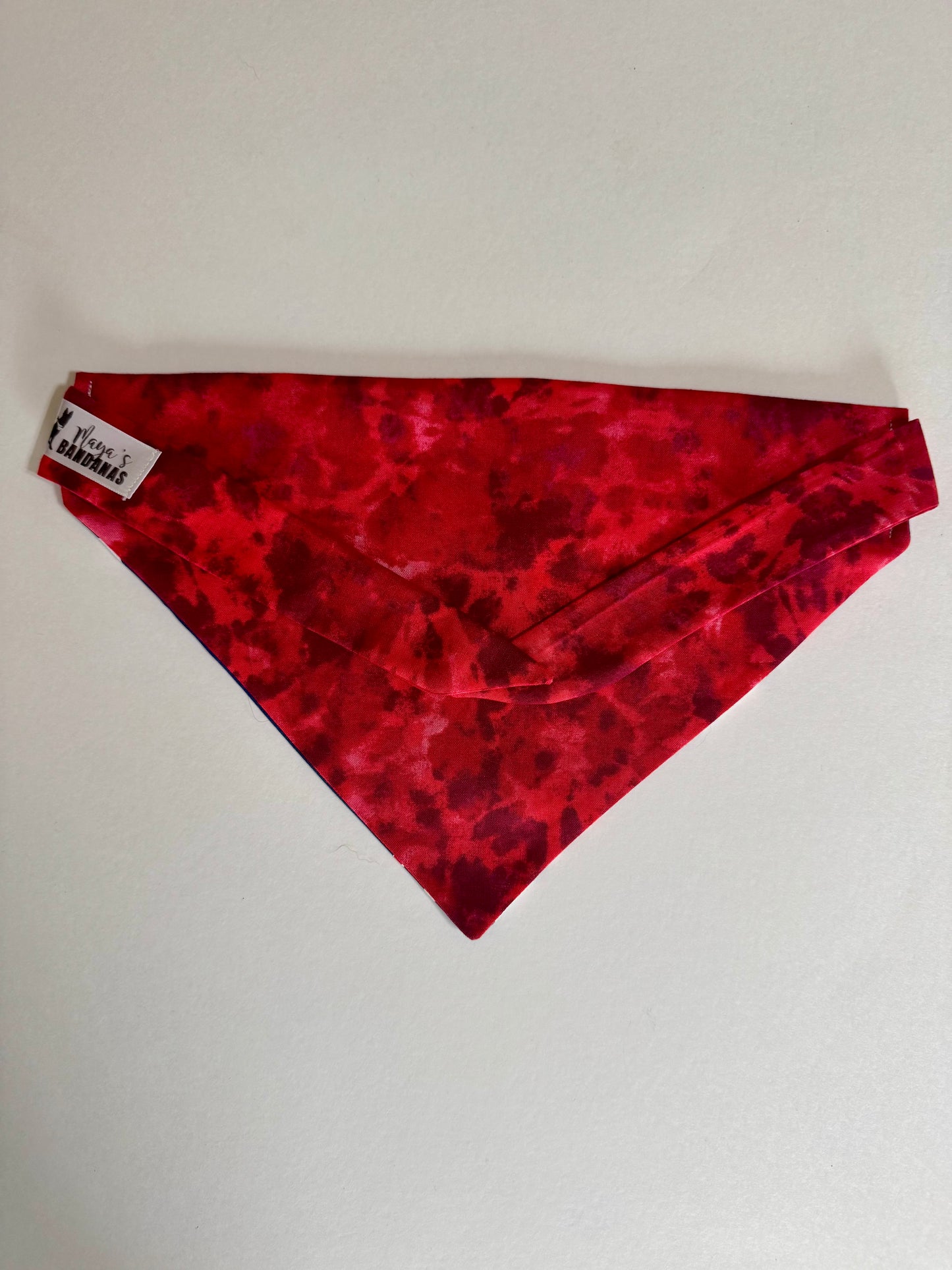 Maya’s Philly Baseball Bandana