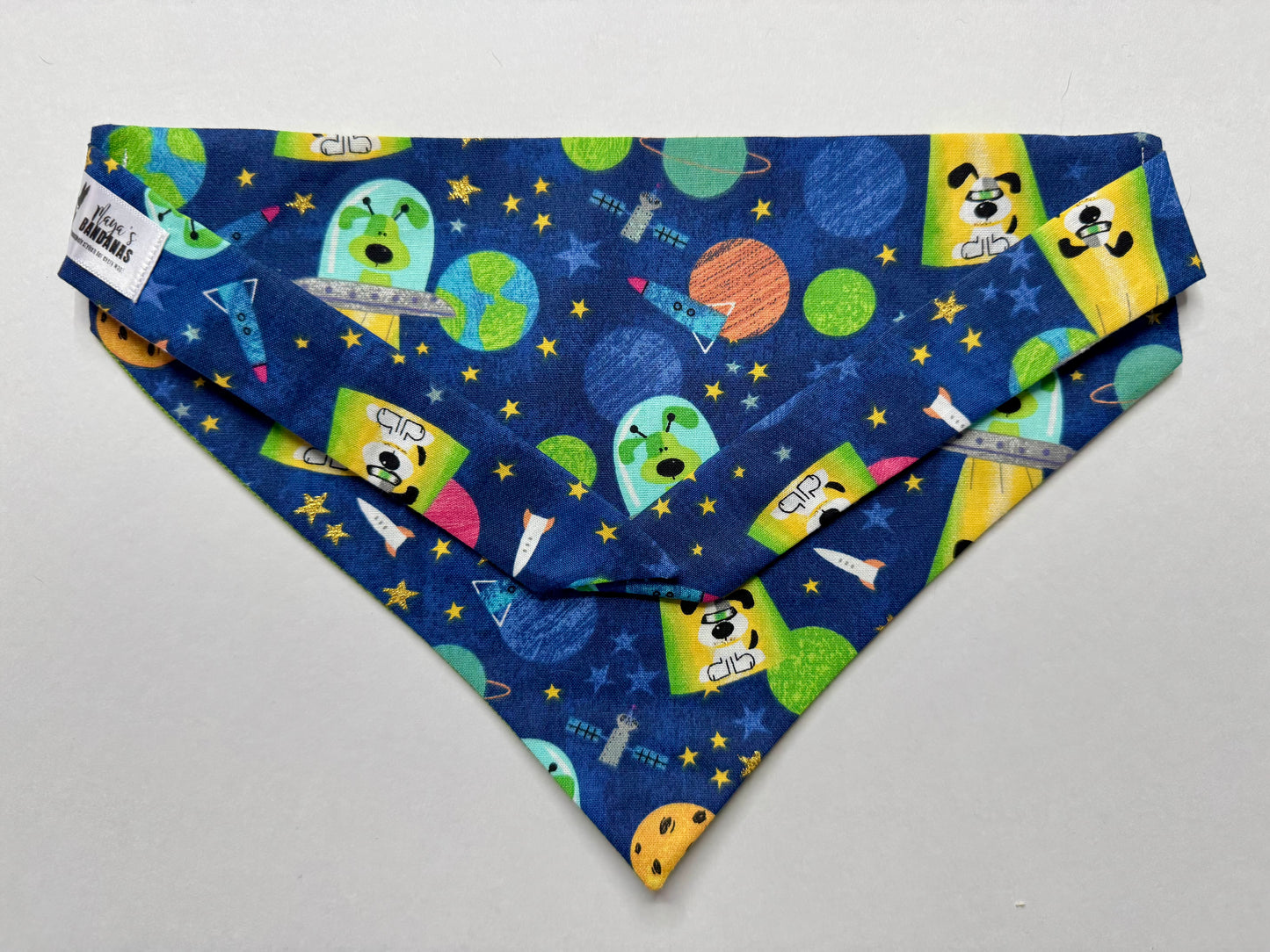 Maya Goes to the Moon