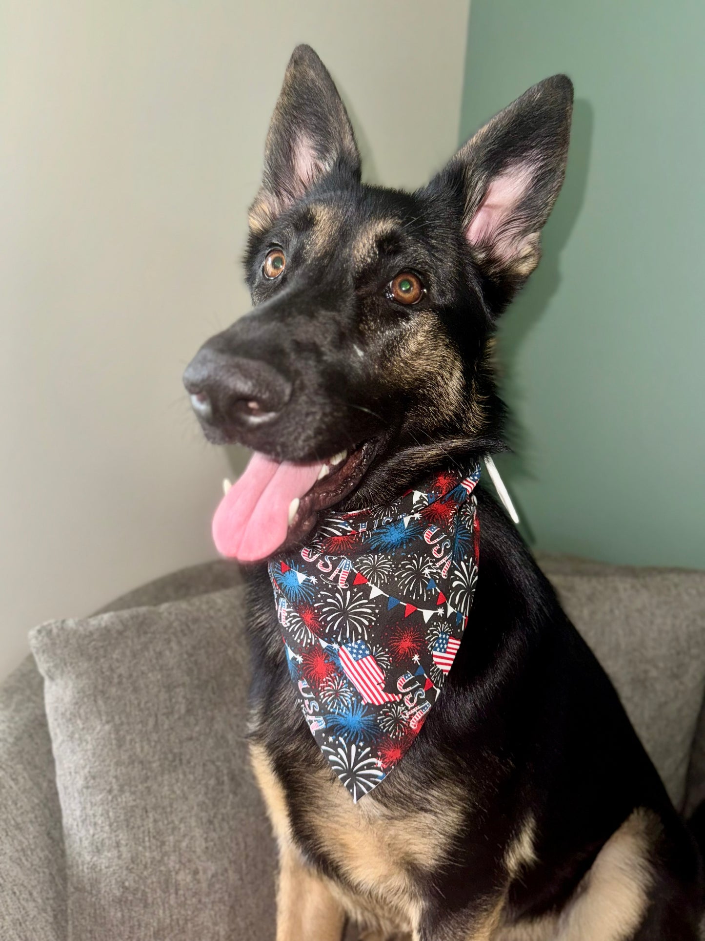 Maya in the USA