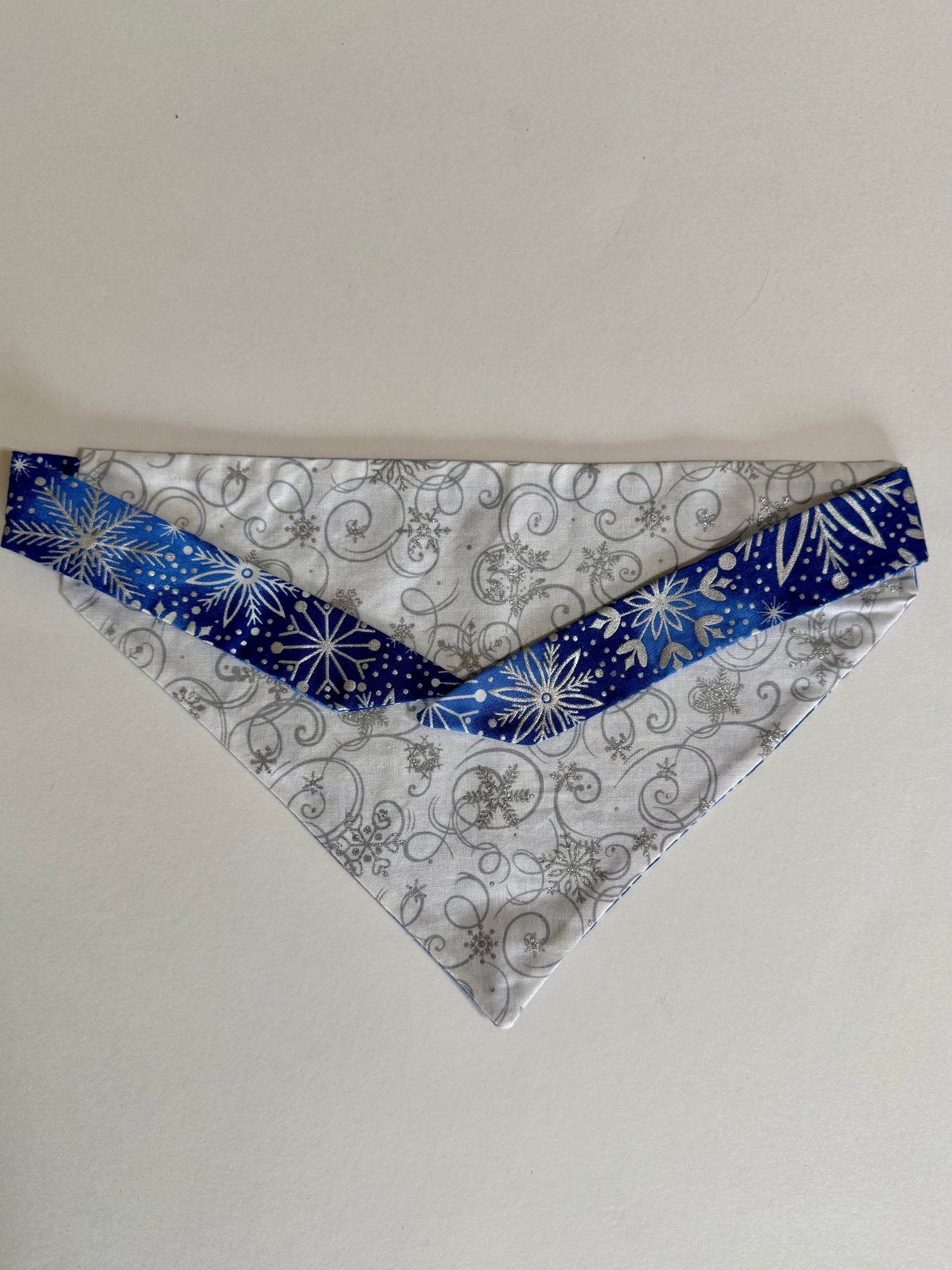 Maya’s Winter Wonderland