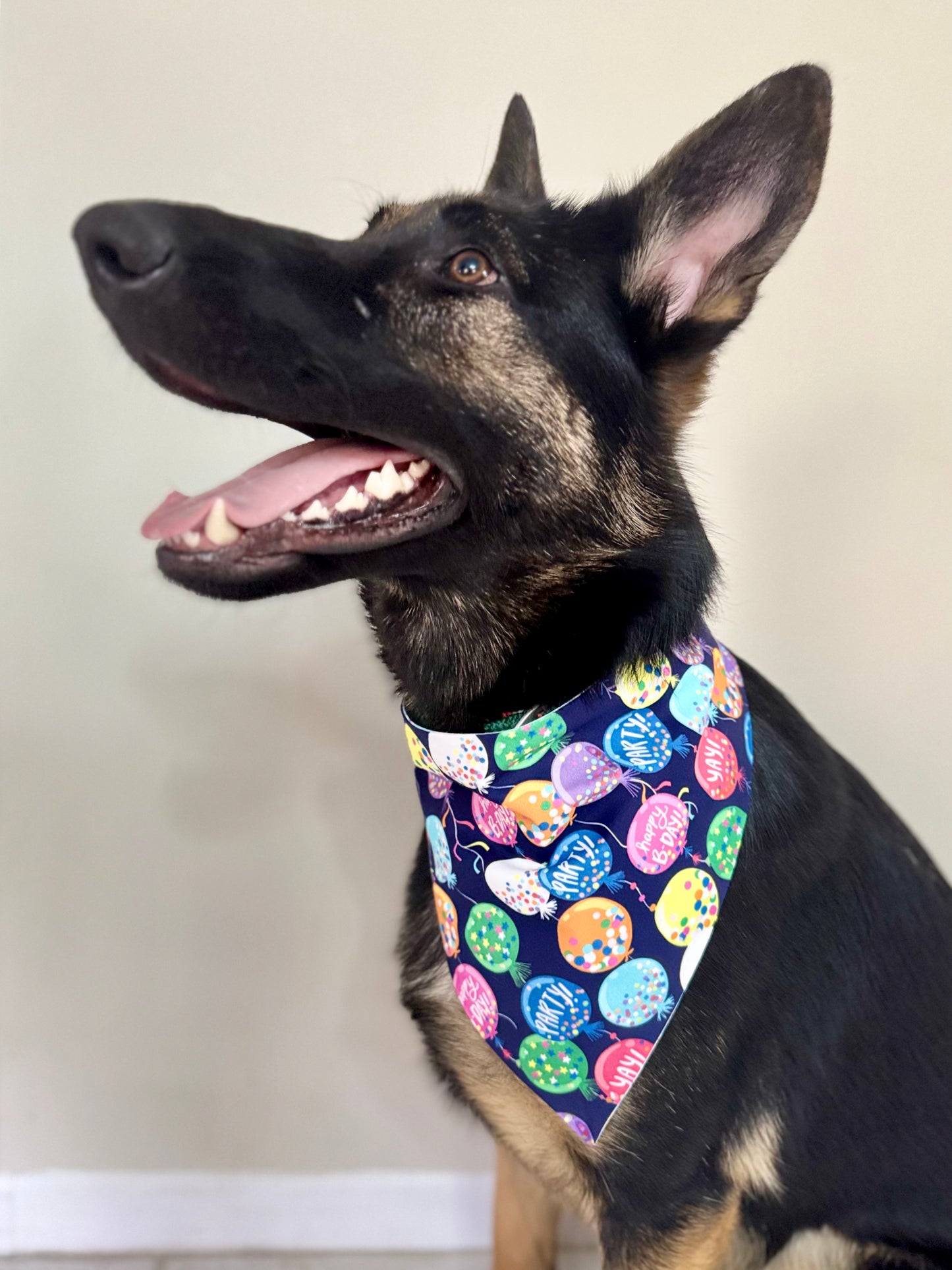 Maya's Bark-day Par-tay