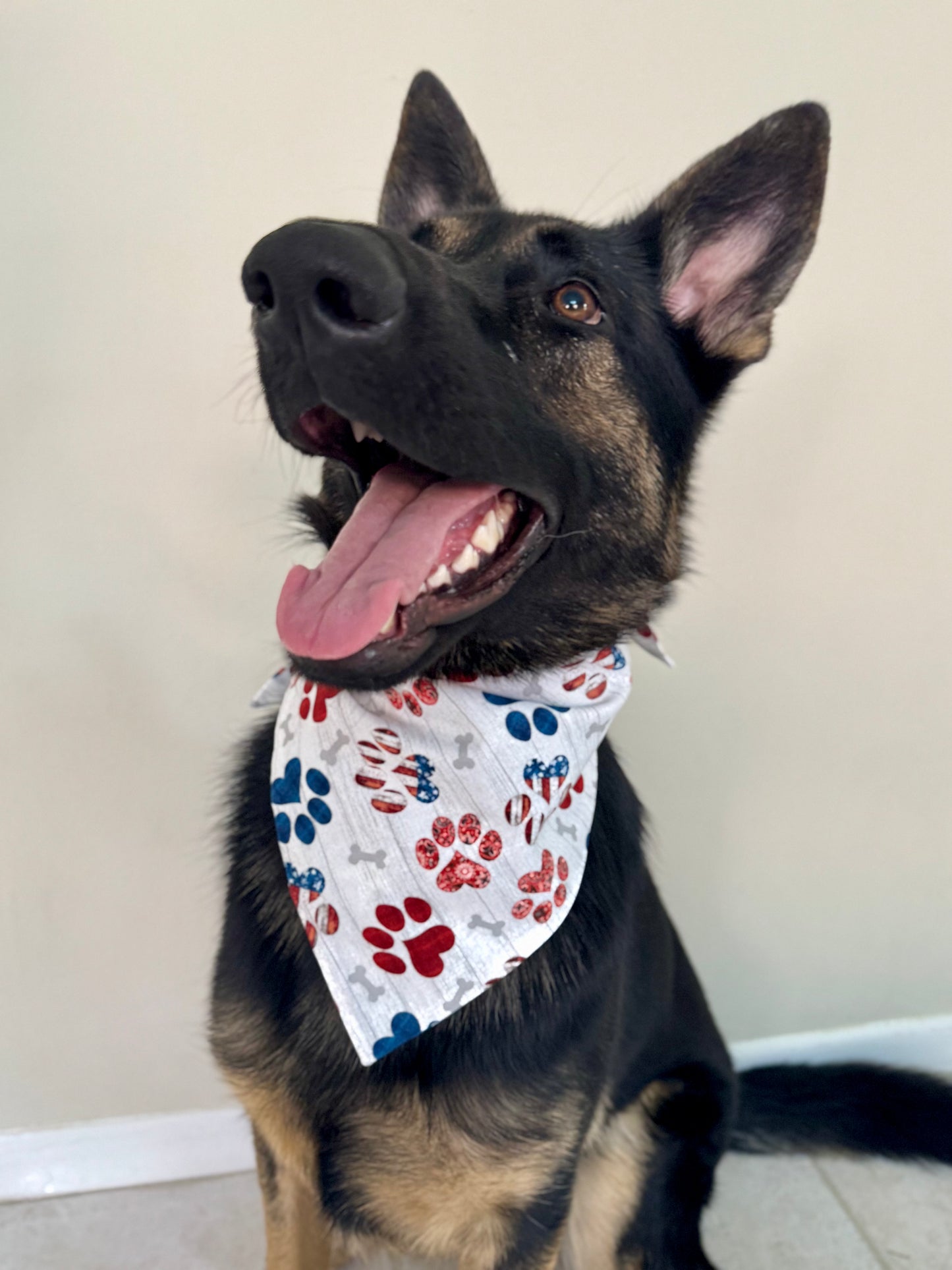 Red, White, and Maya