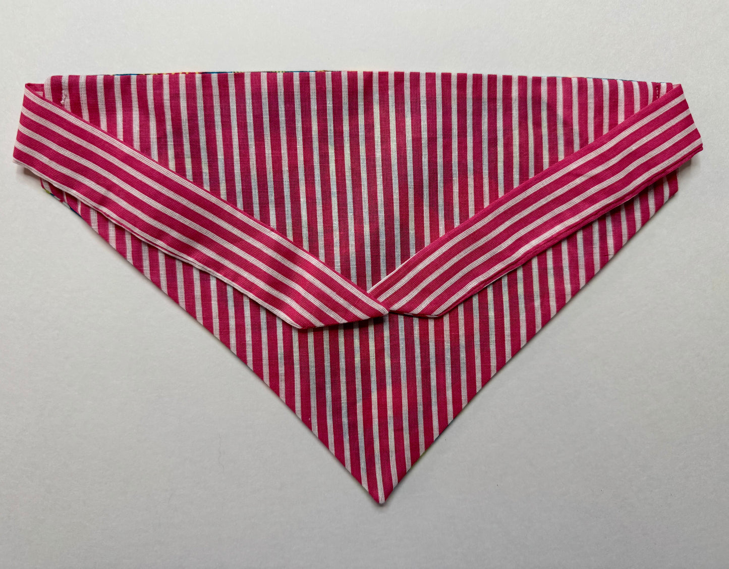 Maya says "Beach Please"