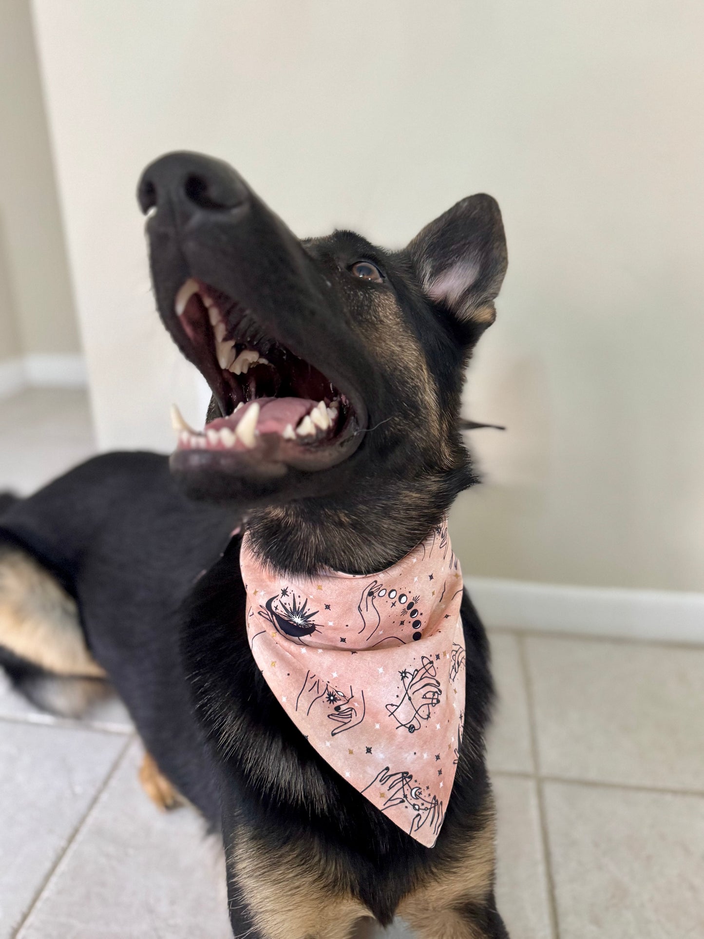 Magical Maya