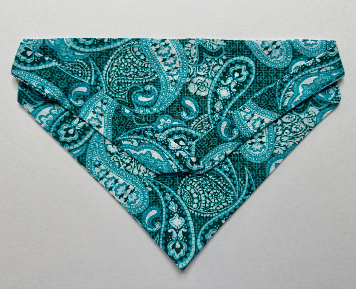 Maya's Blue Bandana