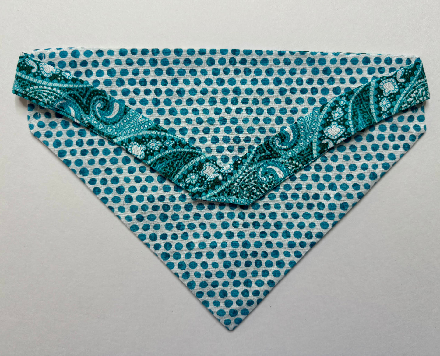 Maya's Blue Bandana
