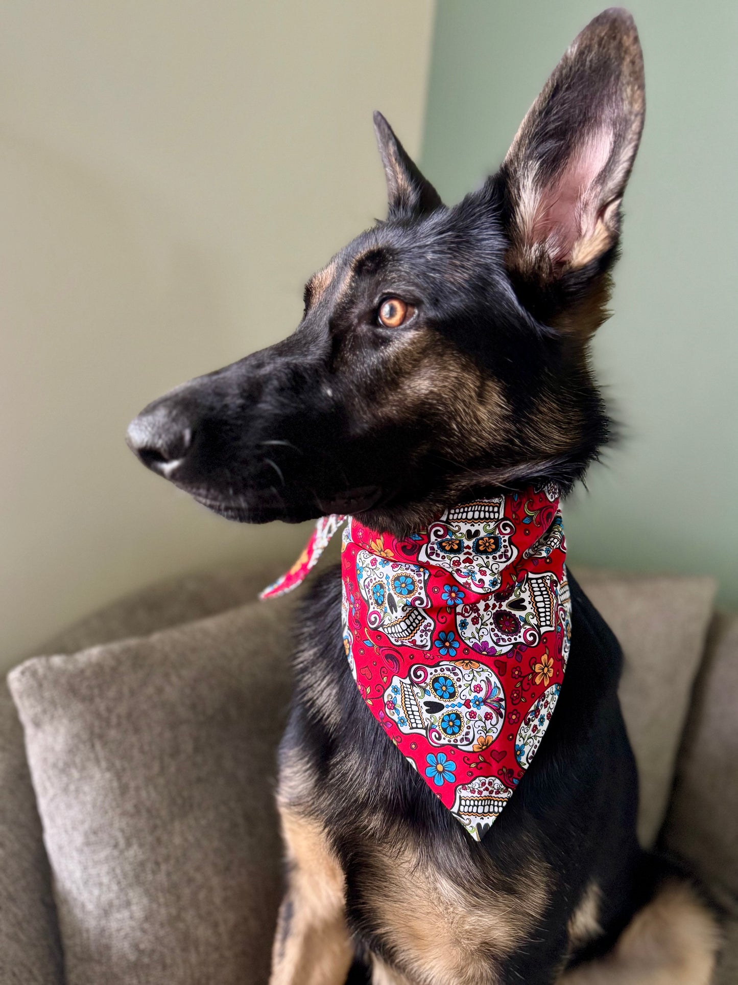 Maya is Bad to the Bone