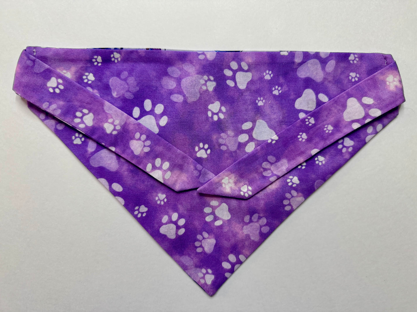 Coco's Butterfly Effect