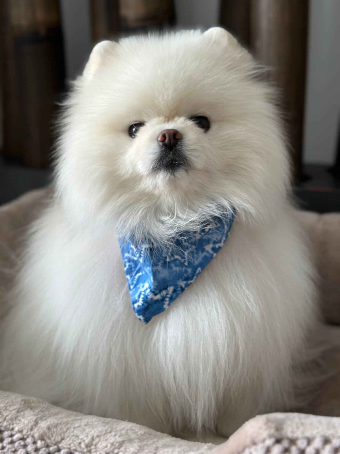 Theo's a Star