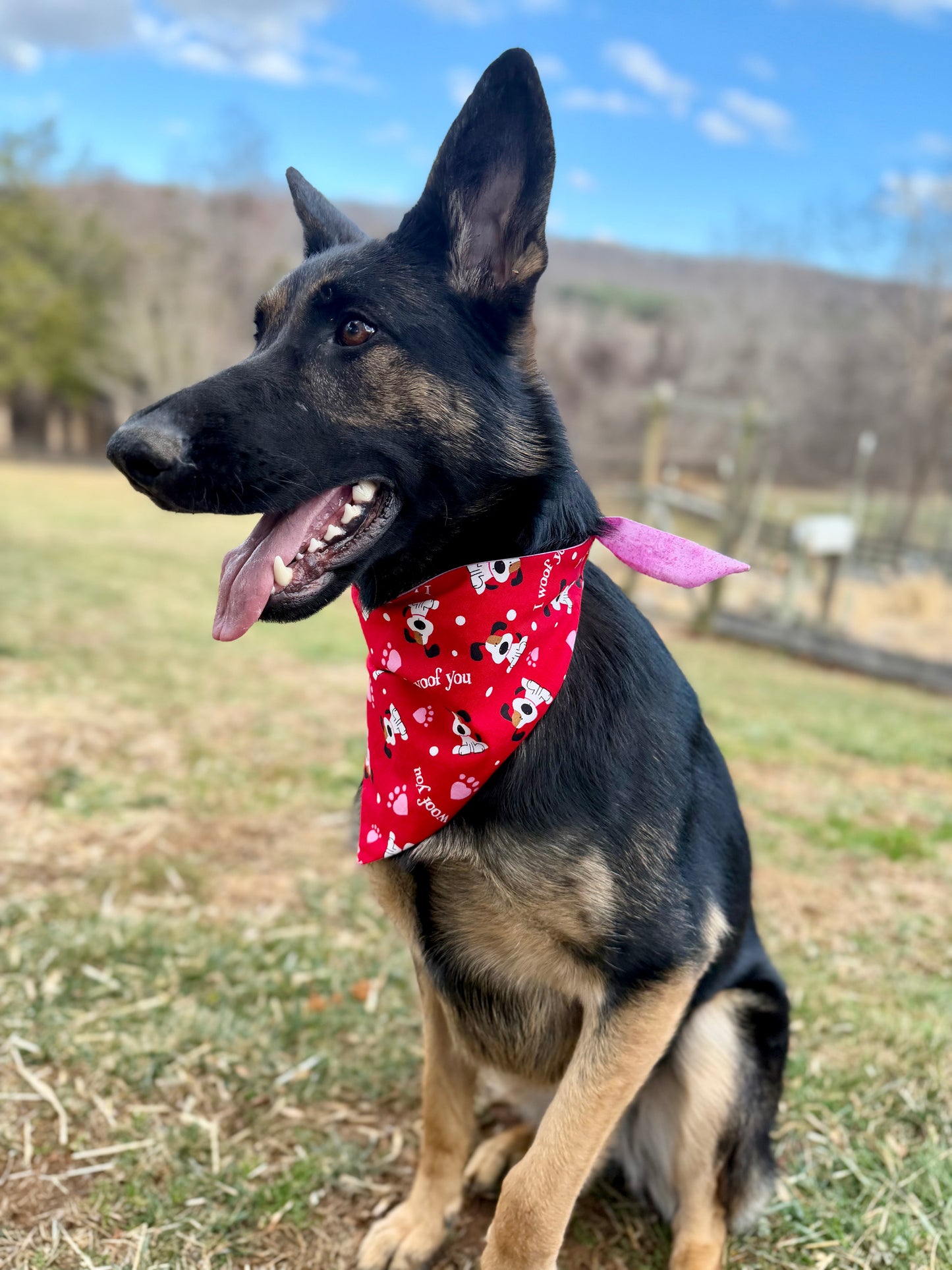 Maya Woof’s You
