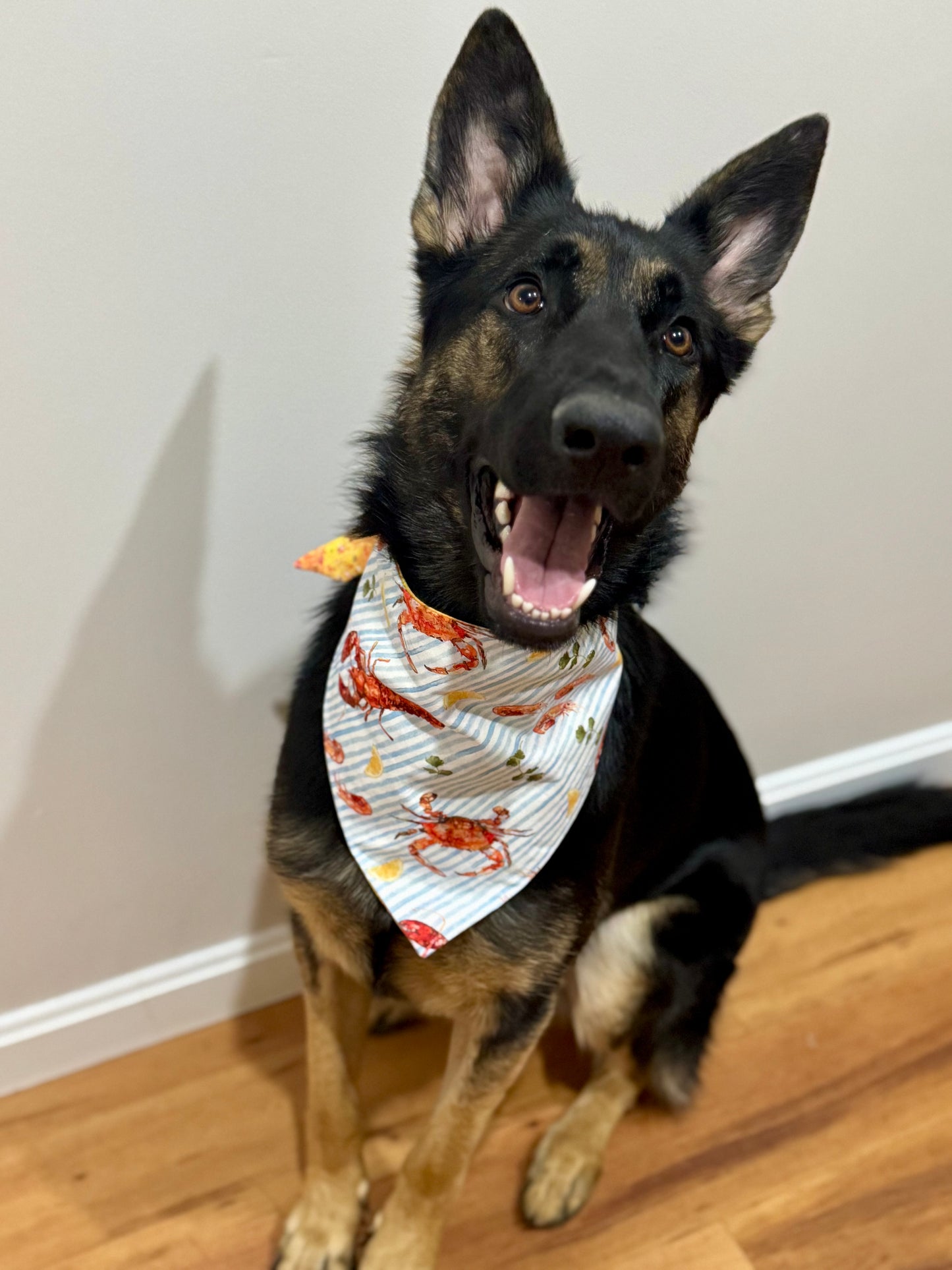 Maya’s Seafood Picnic