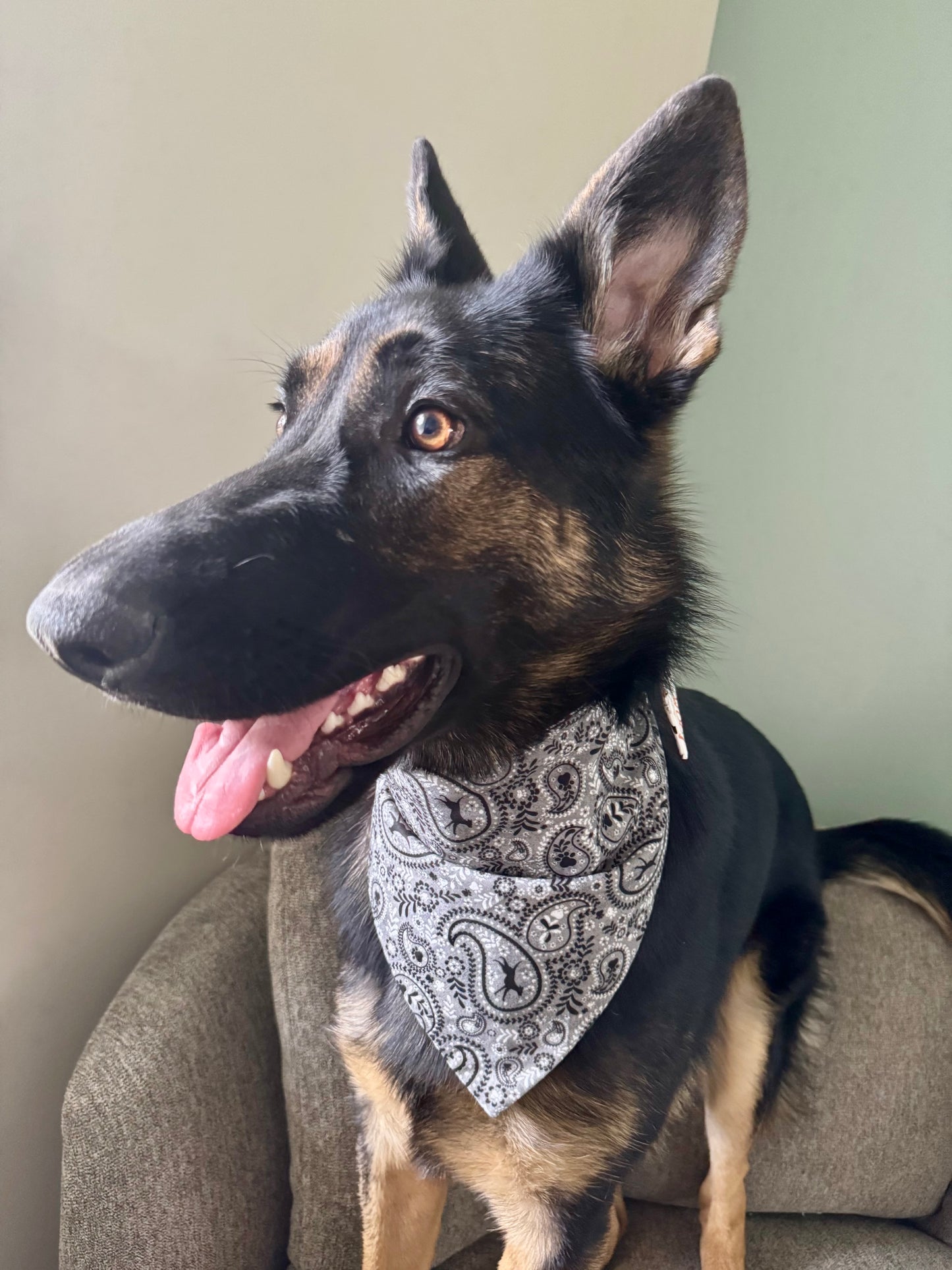 Maya’s Basic Bandana