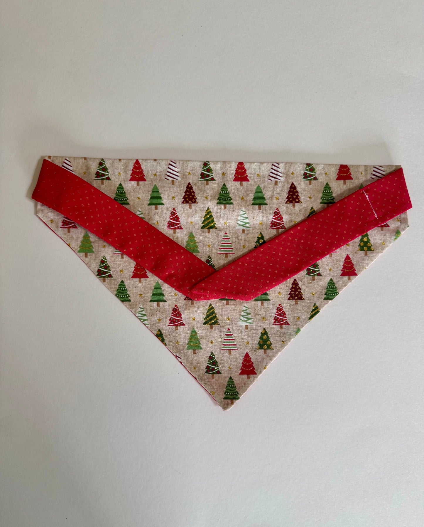 Rockin’ Around Maya’s Tree