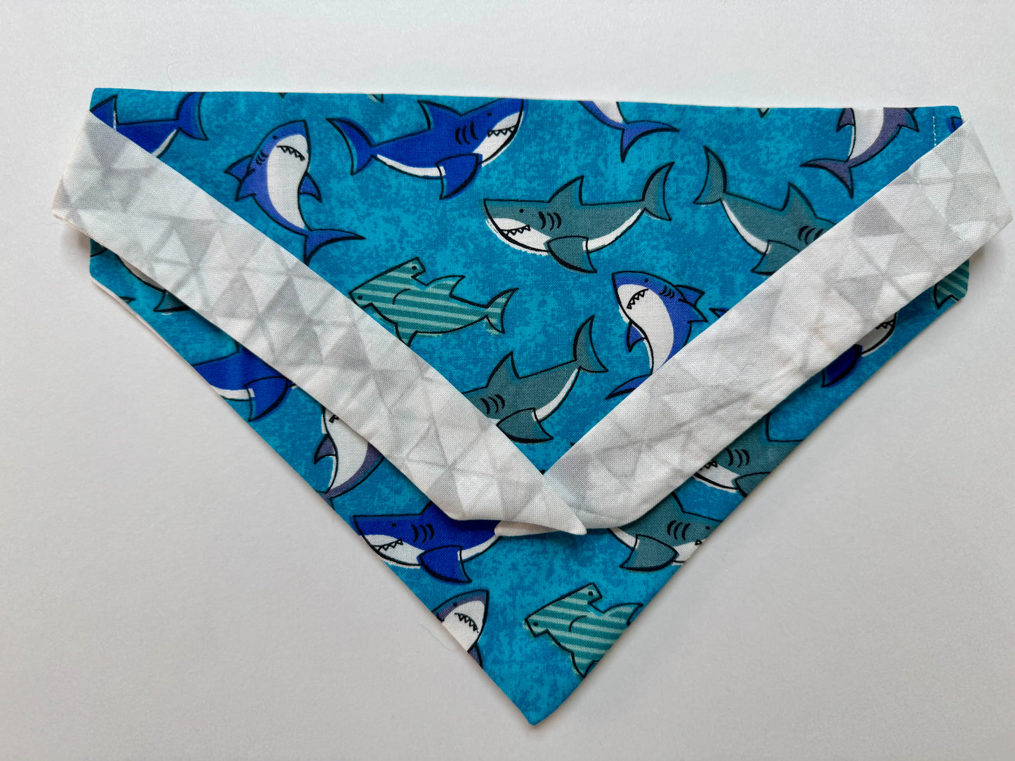 Maya’s Shark Teeth