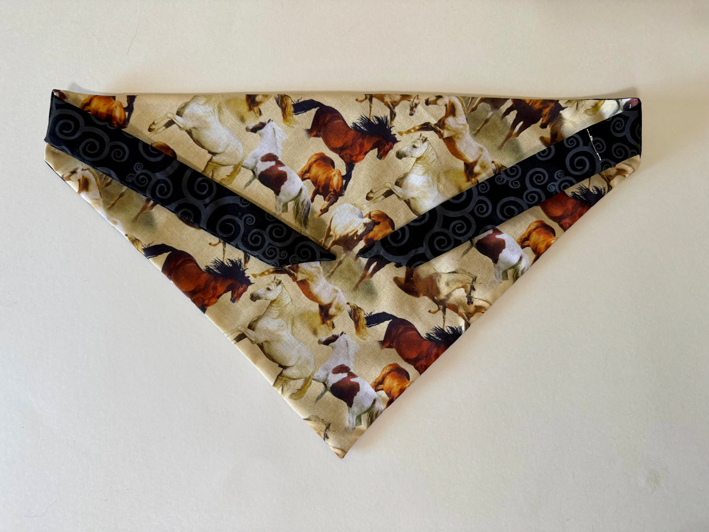 Maya’s Horsing Around