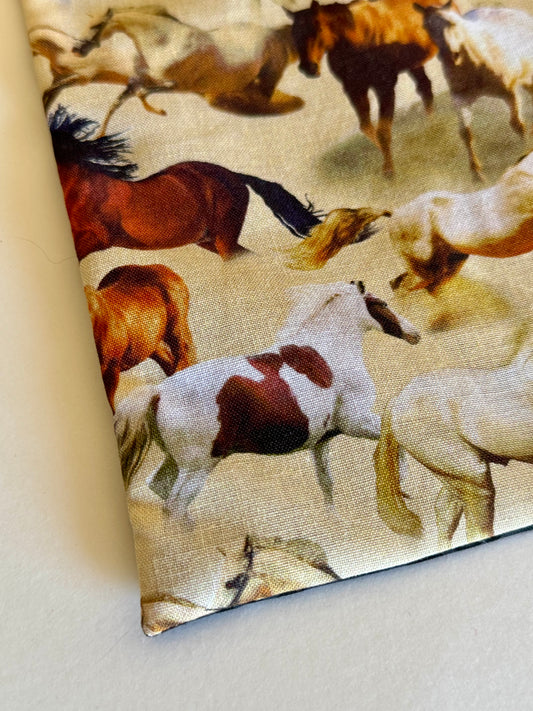 Maya’s Horsing Around