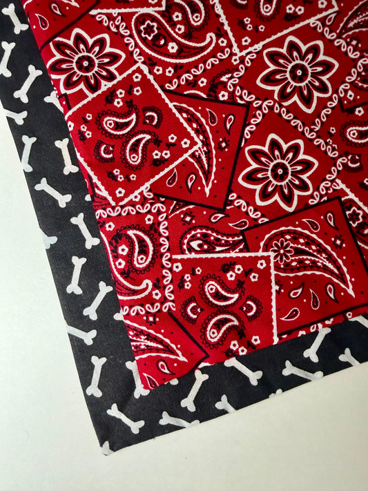Maya’s Paisley Bones