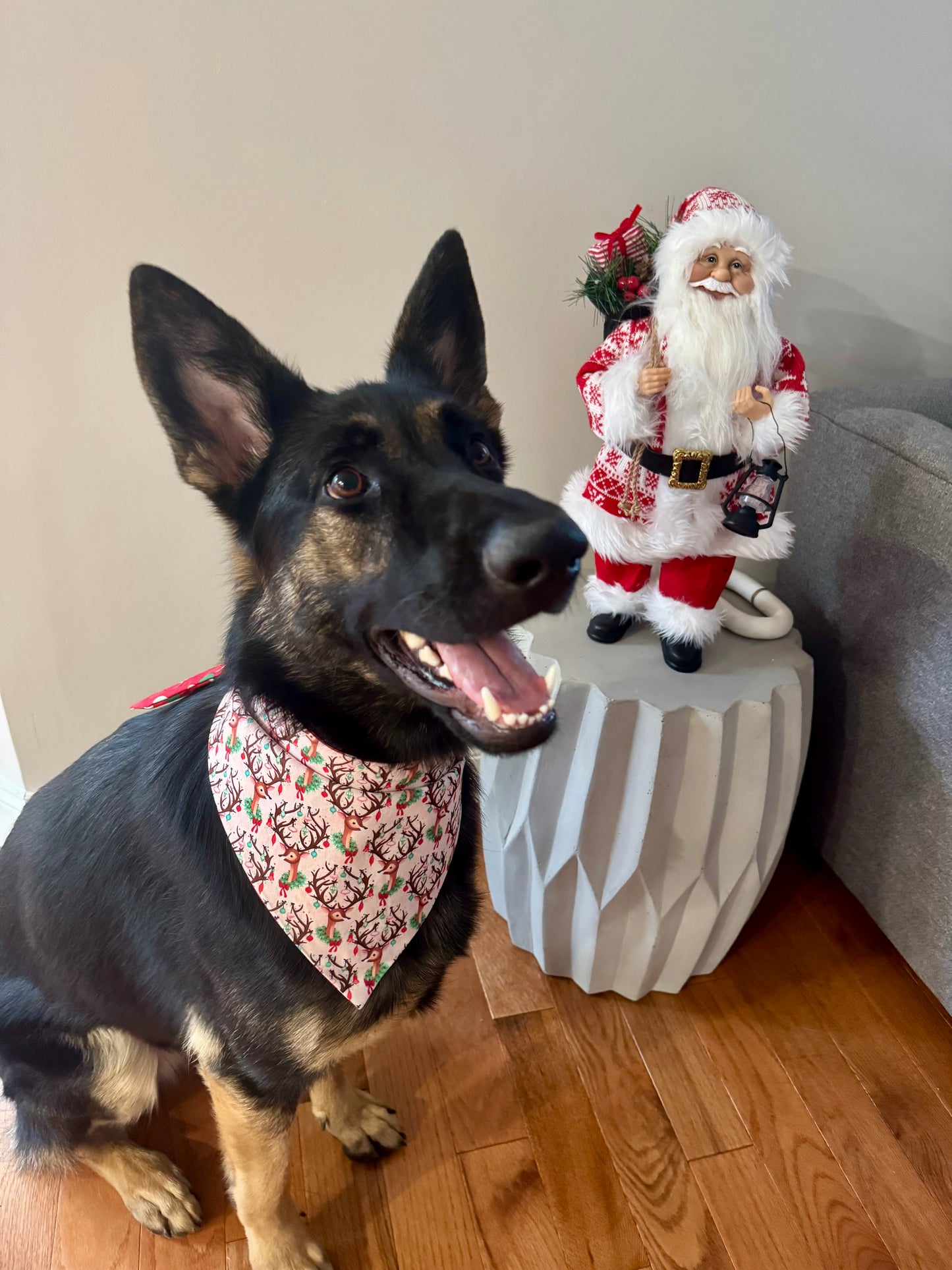 Maya’s Reindeer Games