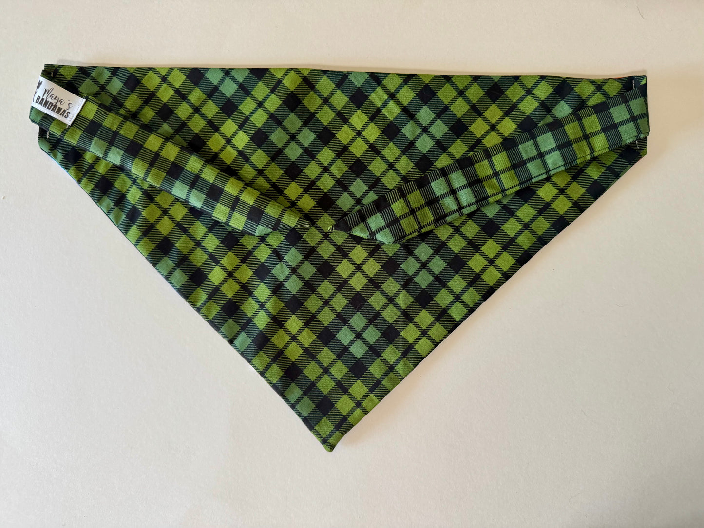 Maya’s Gone Fishing