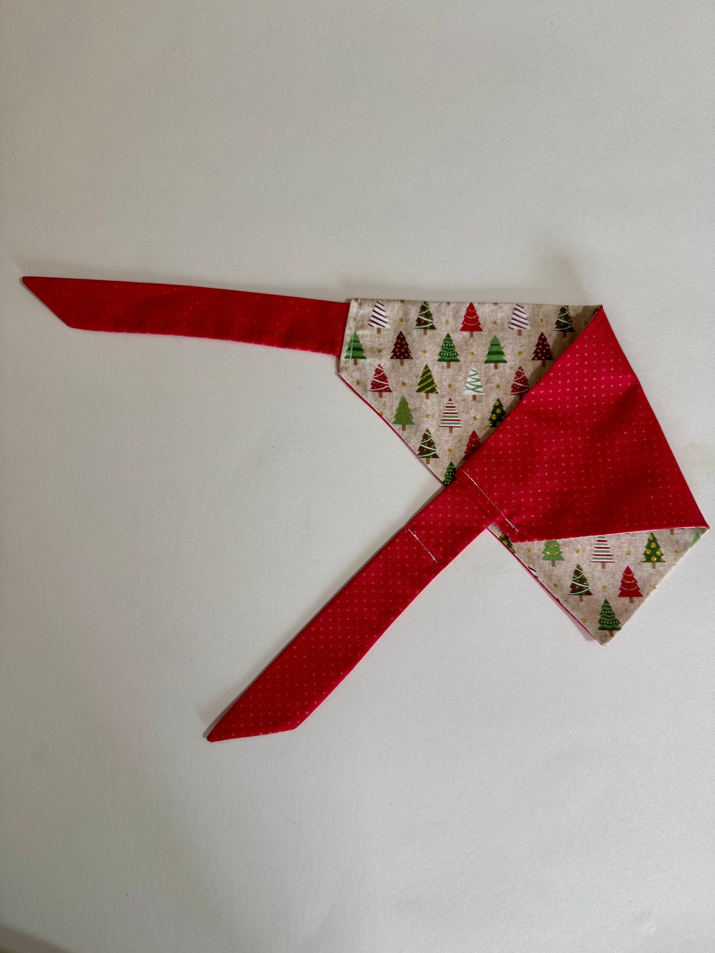 Rockin’ Around Maya’s Tree