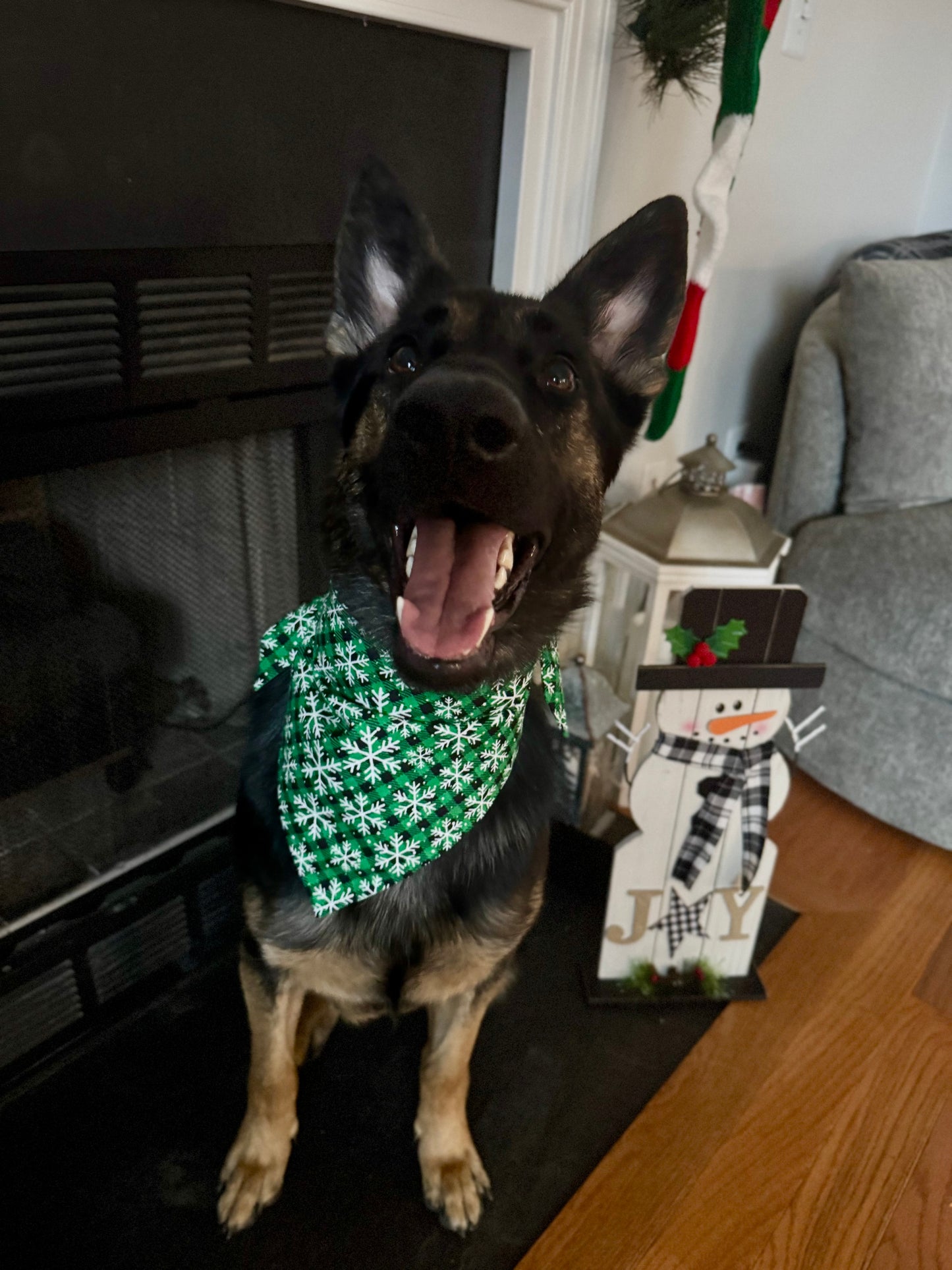 Maya’s Snowy Bones