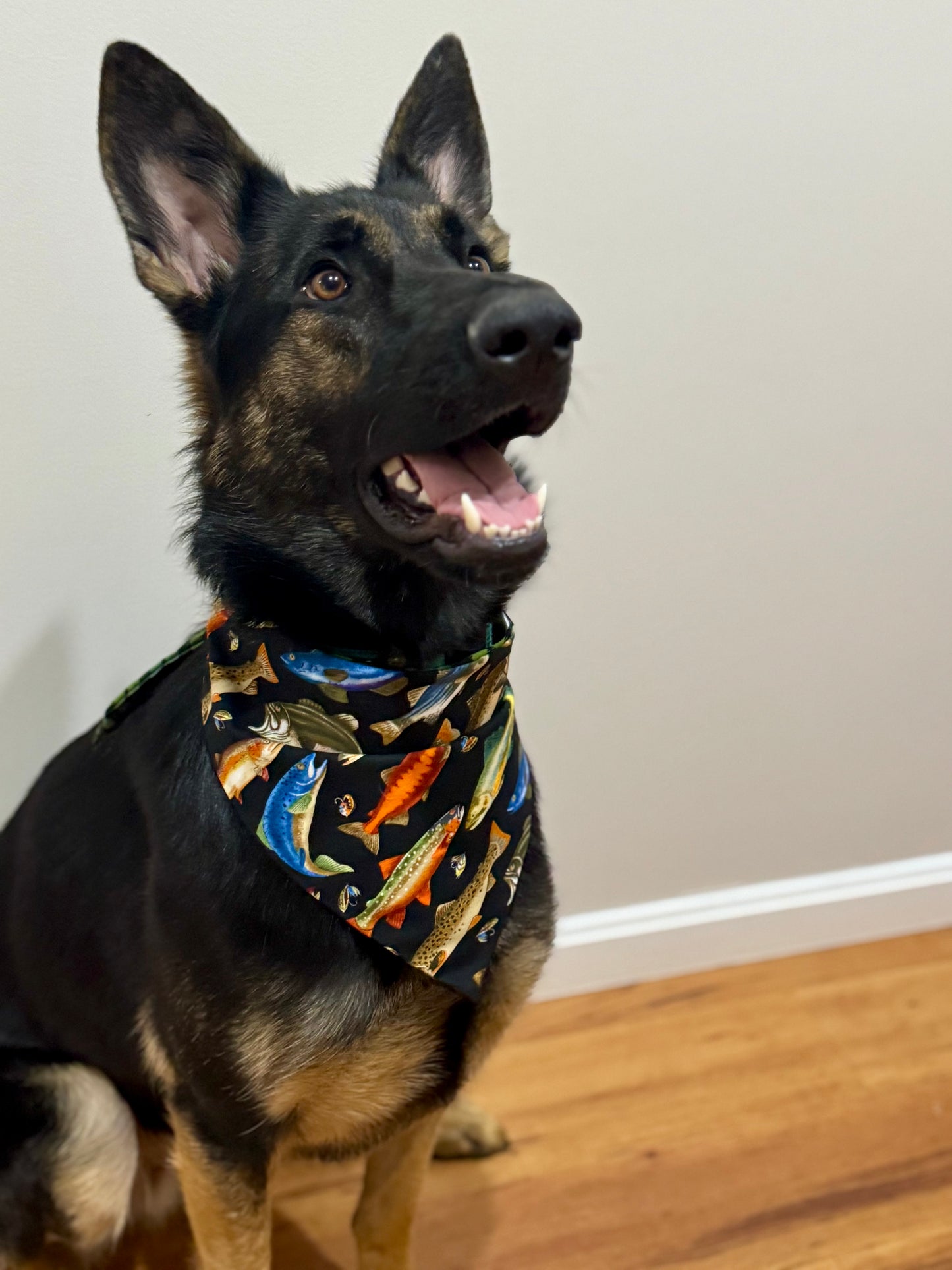 Maya’s Gone Fishing