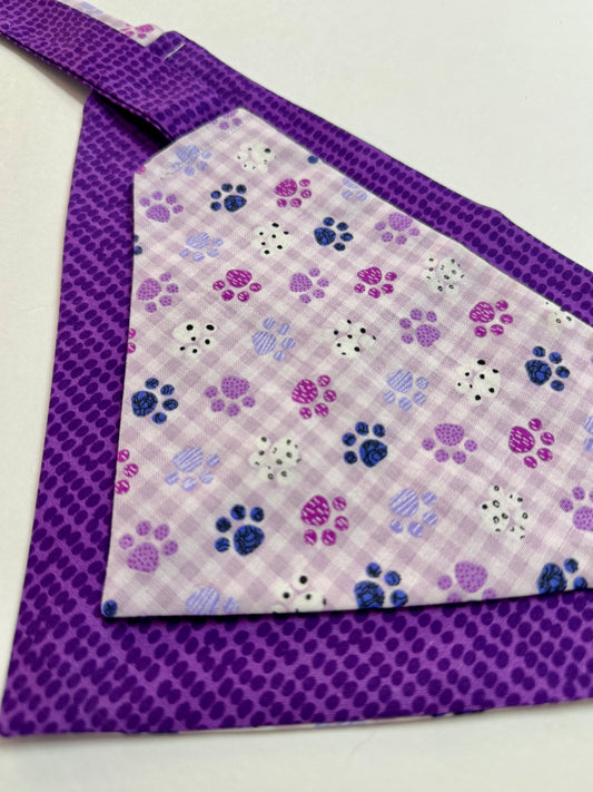 Maya’s Purple Paws