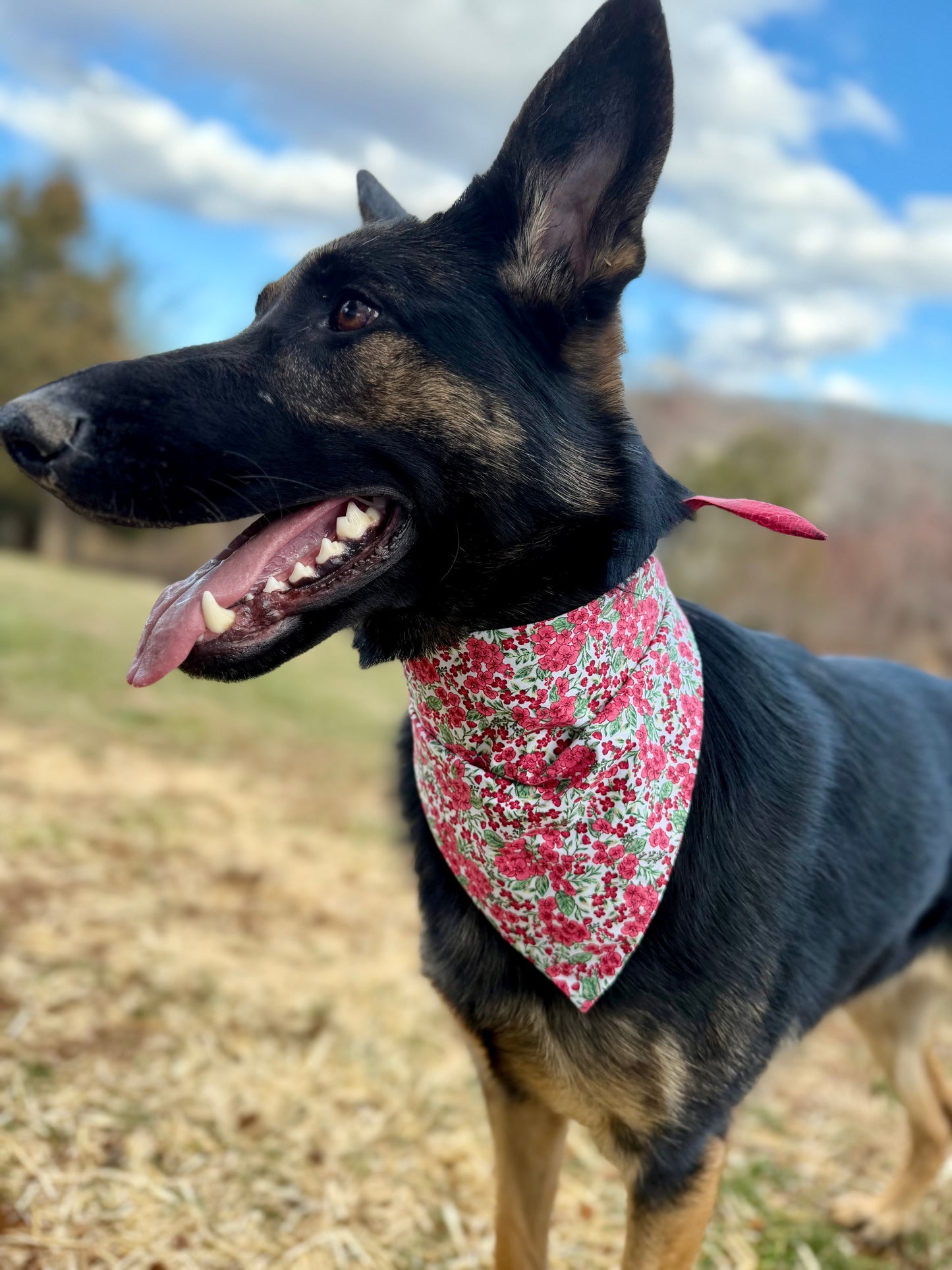 Maya’s Flower Garden