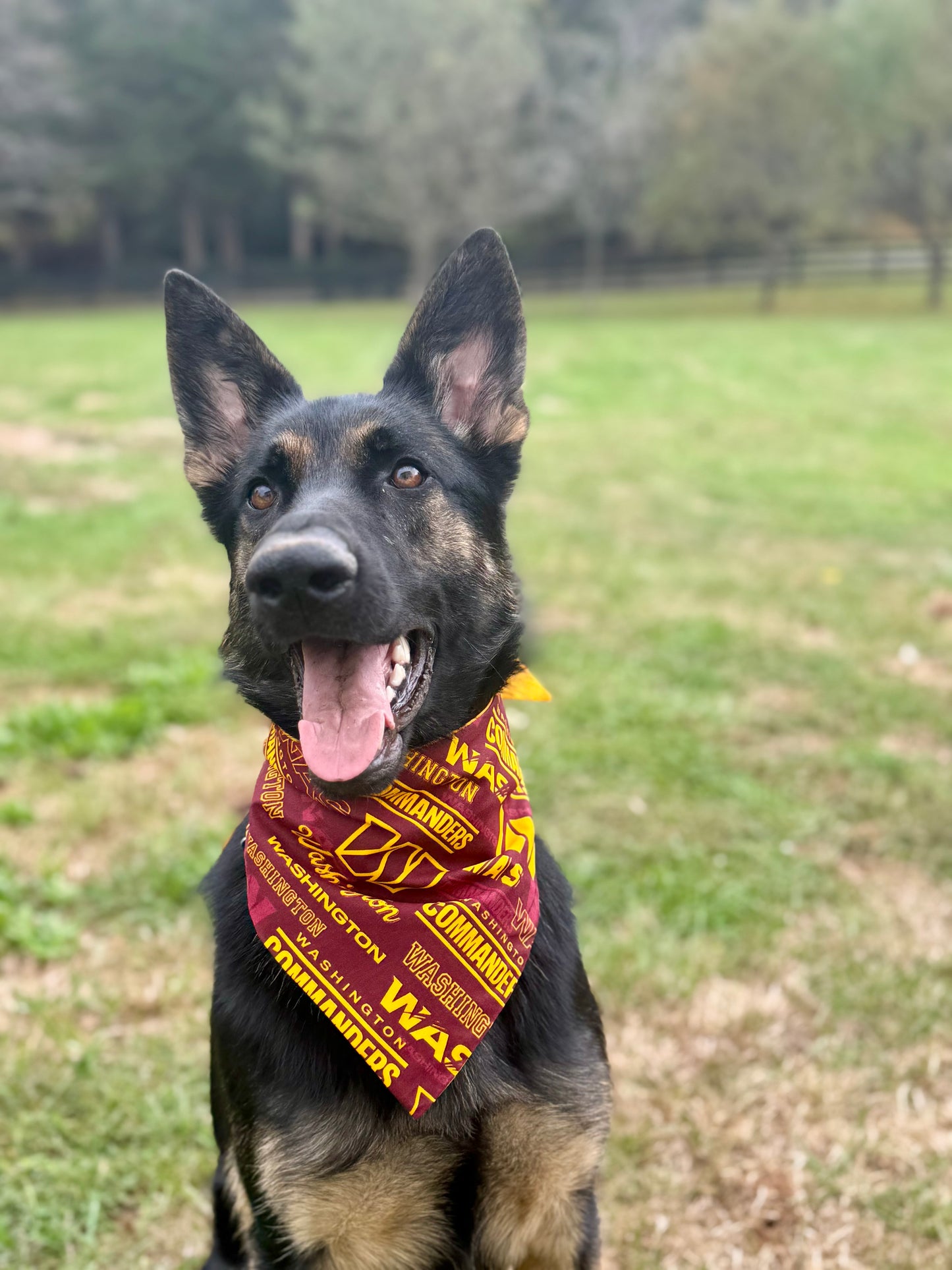 Maya’s Washington Football Bandana