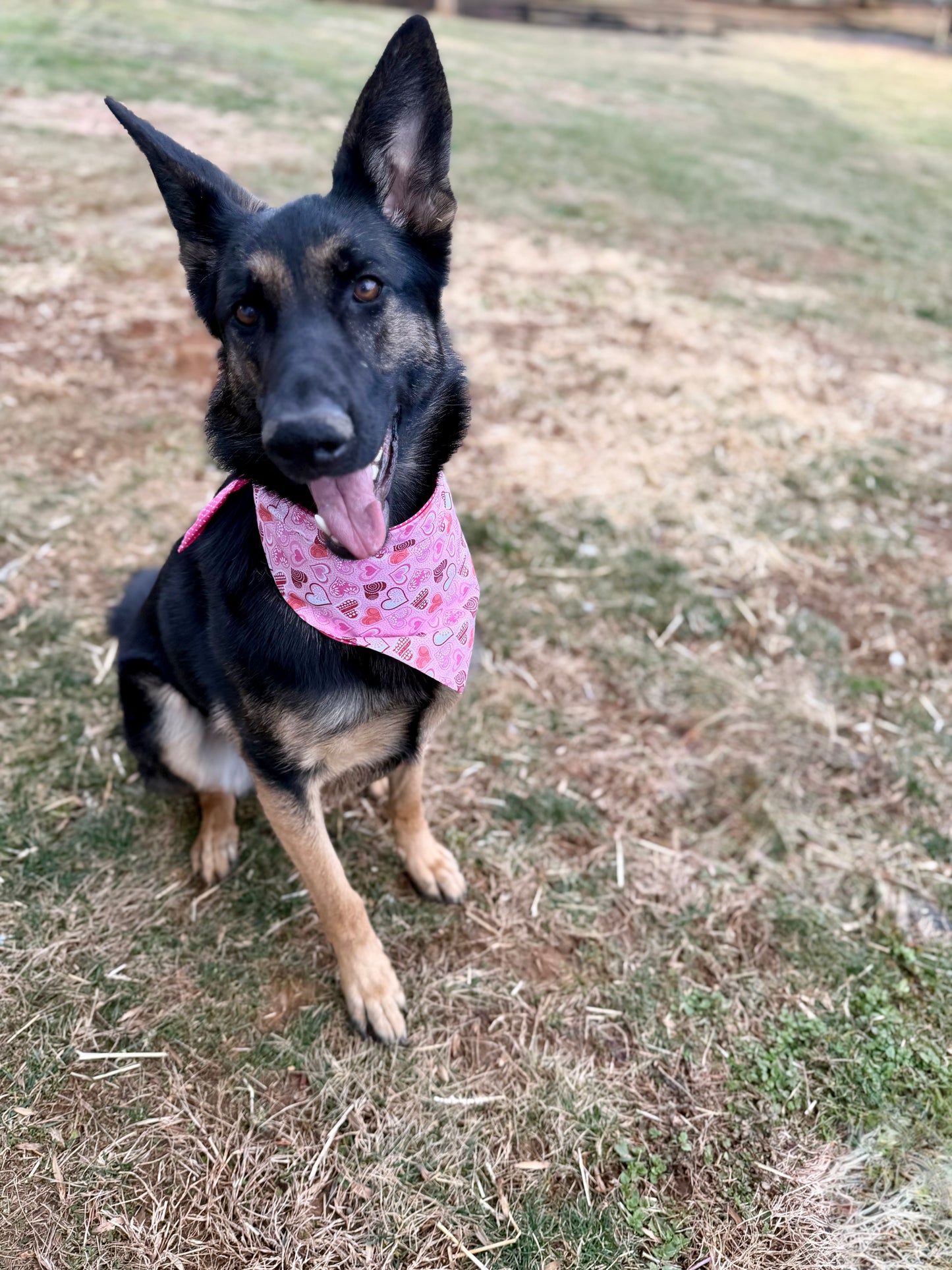 Maya’s Pink Heart