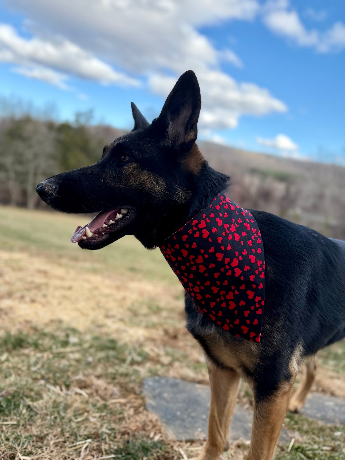 Maya’s Crazy in Love