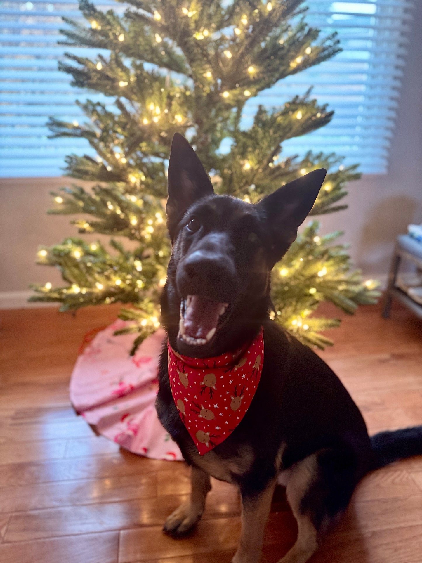 Maya’s Holiday Reindeer
