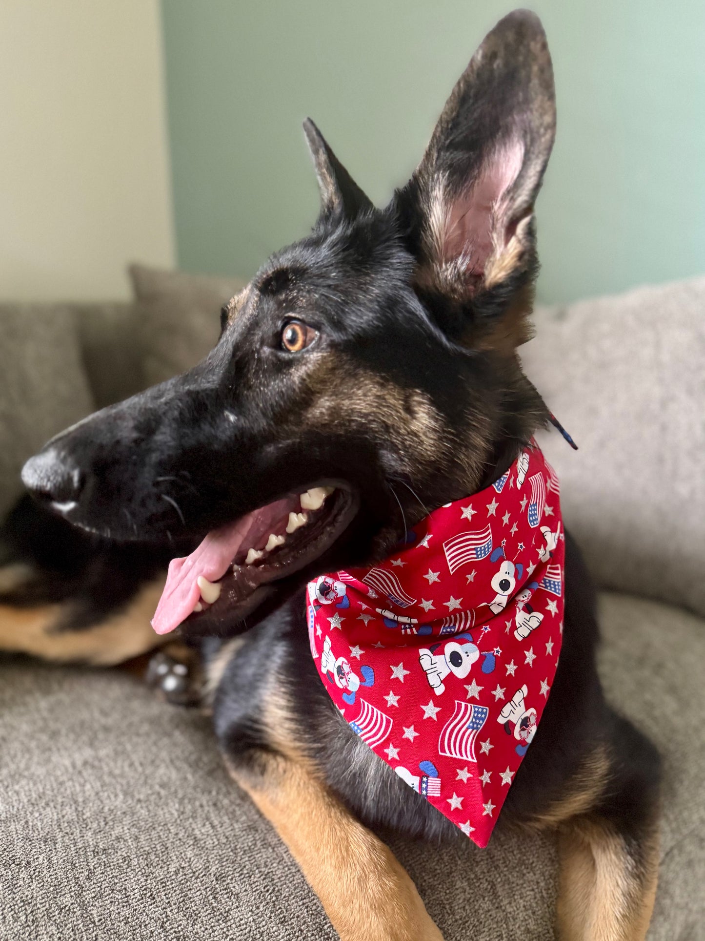 Patriotic Maya Bandana