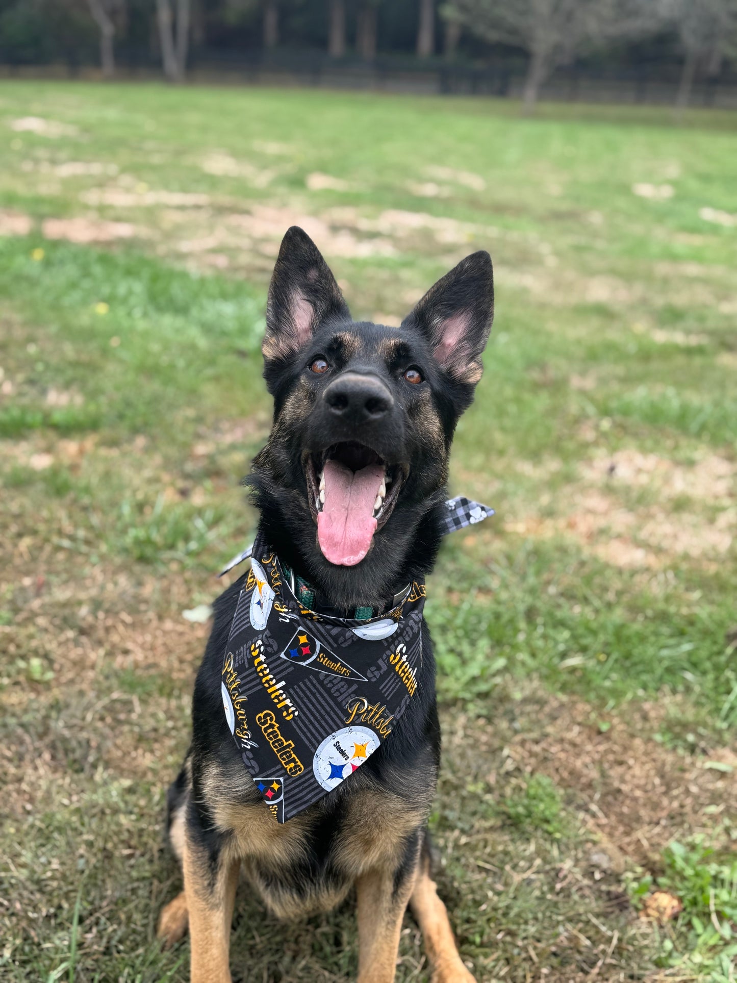 Maya’s Pittsburgh Football Bandana