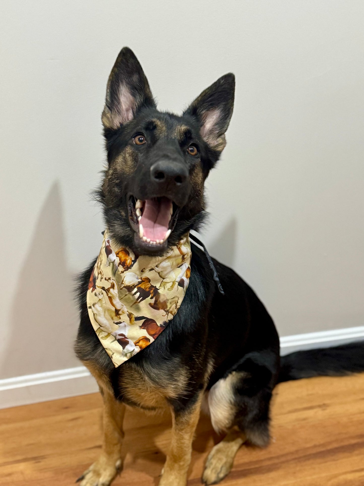 Maya’s Horsing Around