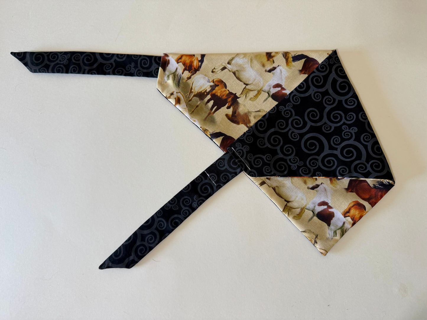 Maya’s Horsing Around