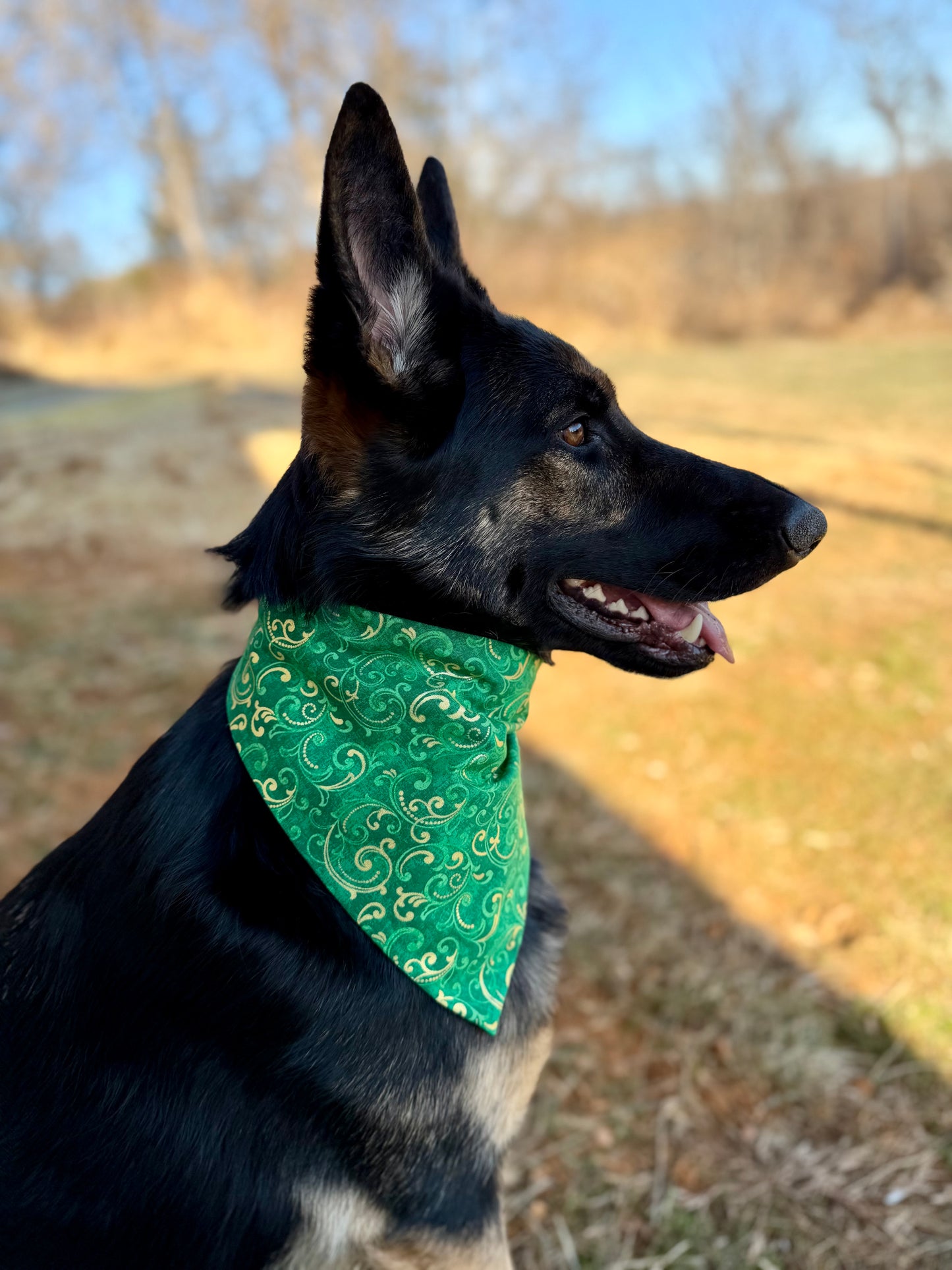 Maya’s Elegant Shamrock