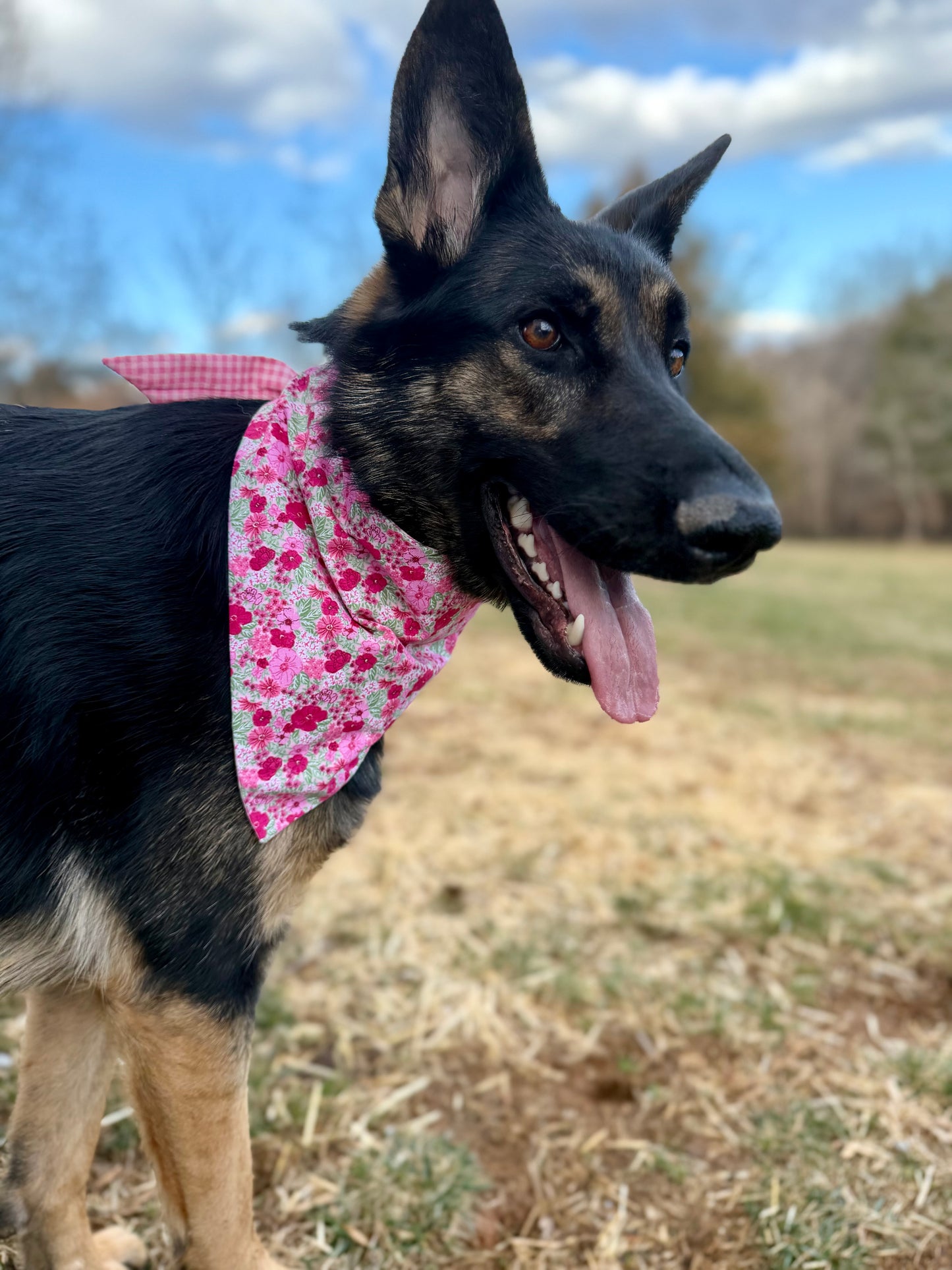 Maya’s Pink Flower Garden
