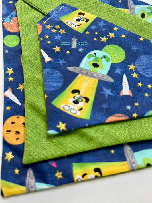 Maya Goes to the Moon