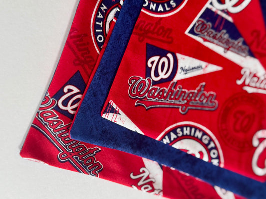 Maya’s DC Baseball Bandana