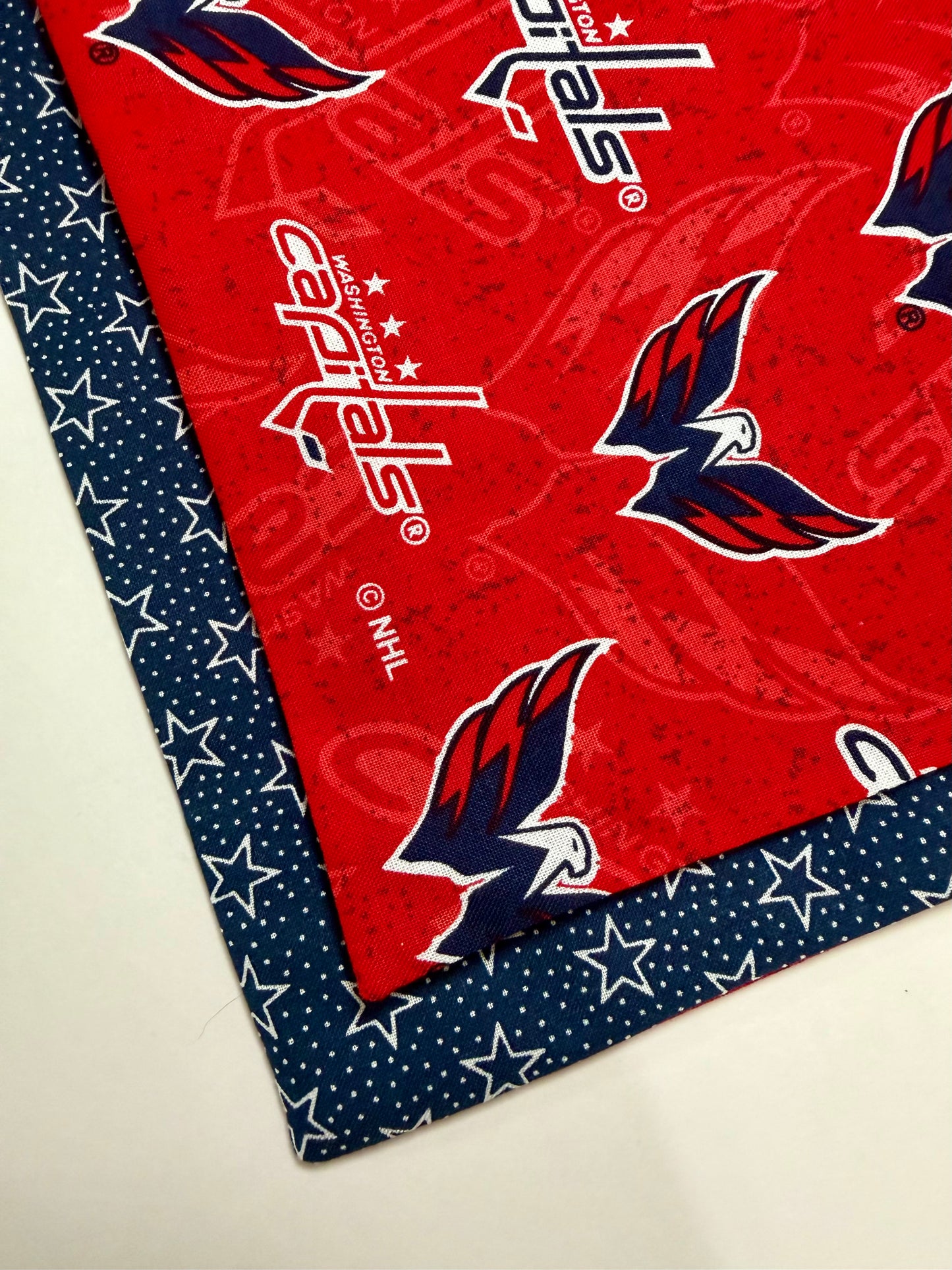 Maya’s Washington Hockey Bandana