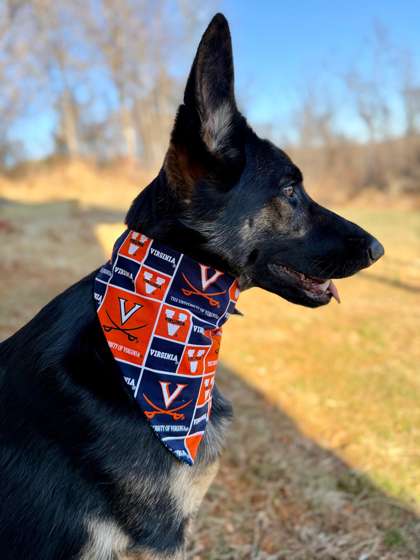 Maya’s Virginia Bandana