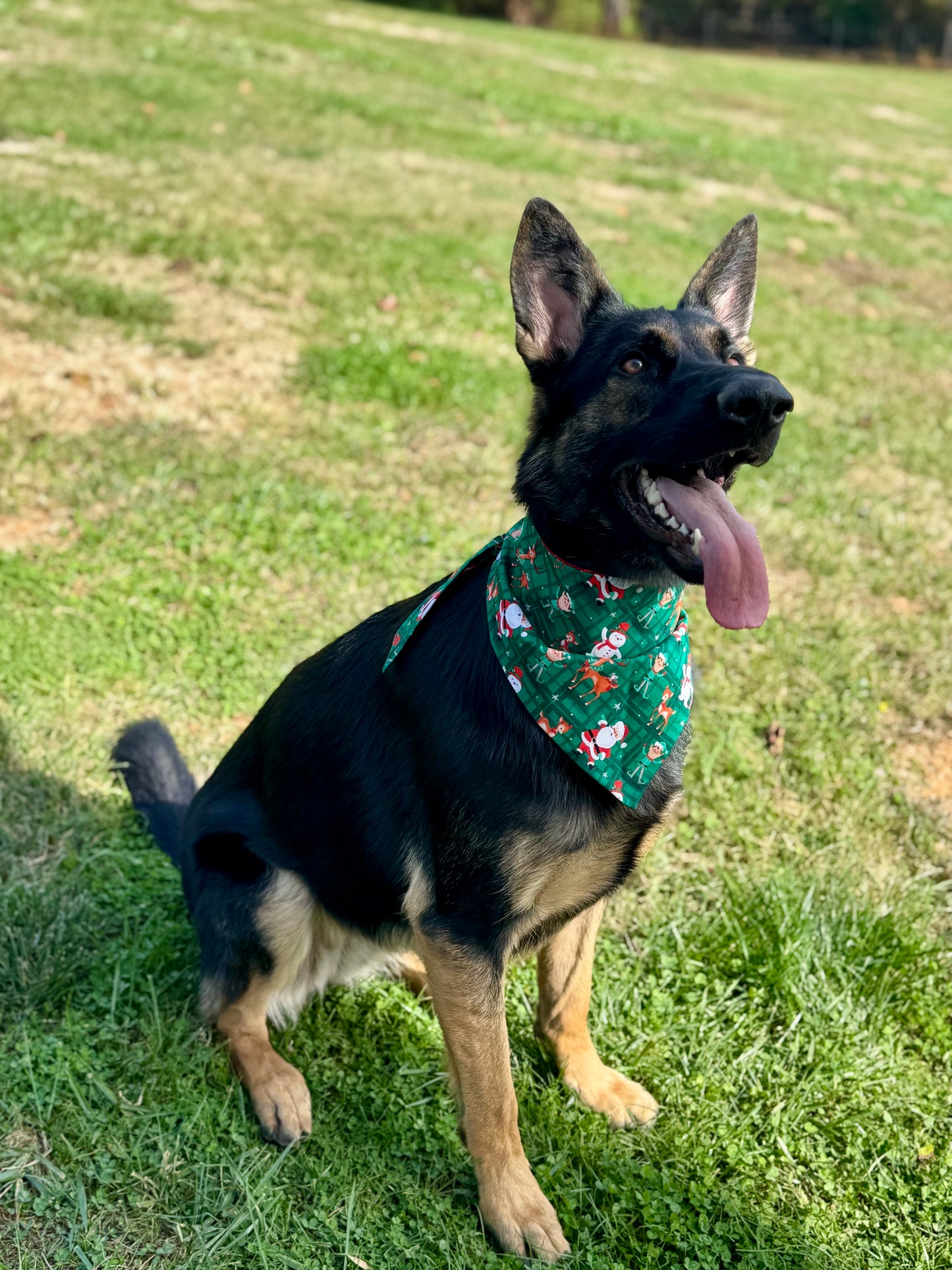 Maya’s Holiday Friends