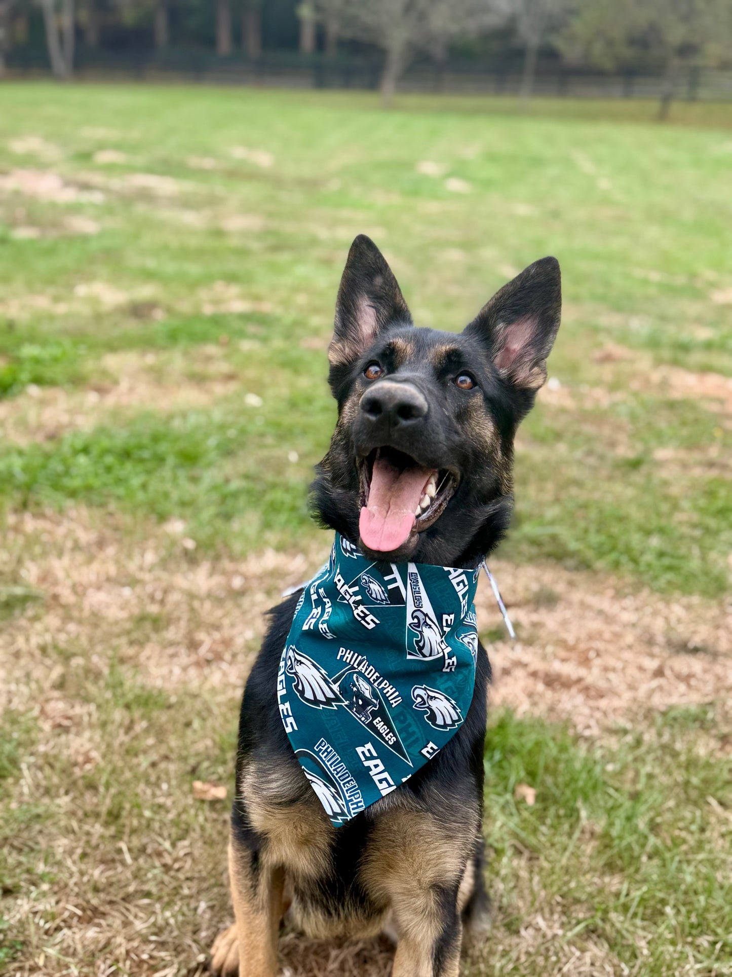 Maya’s Philly Football Bandana